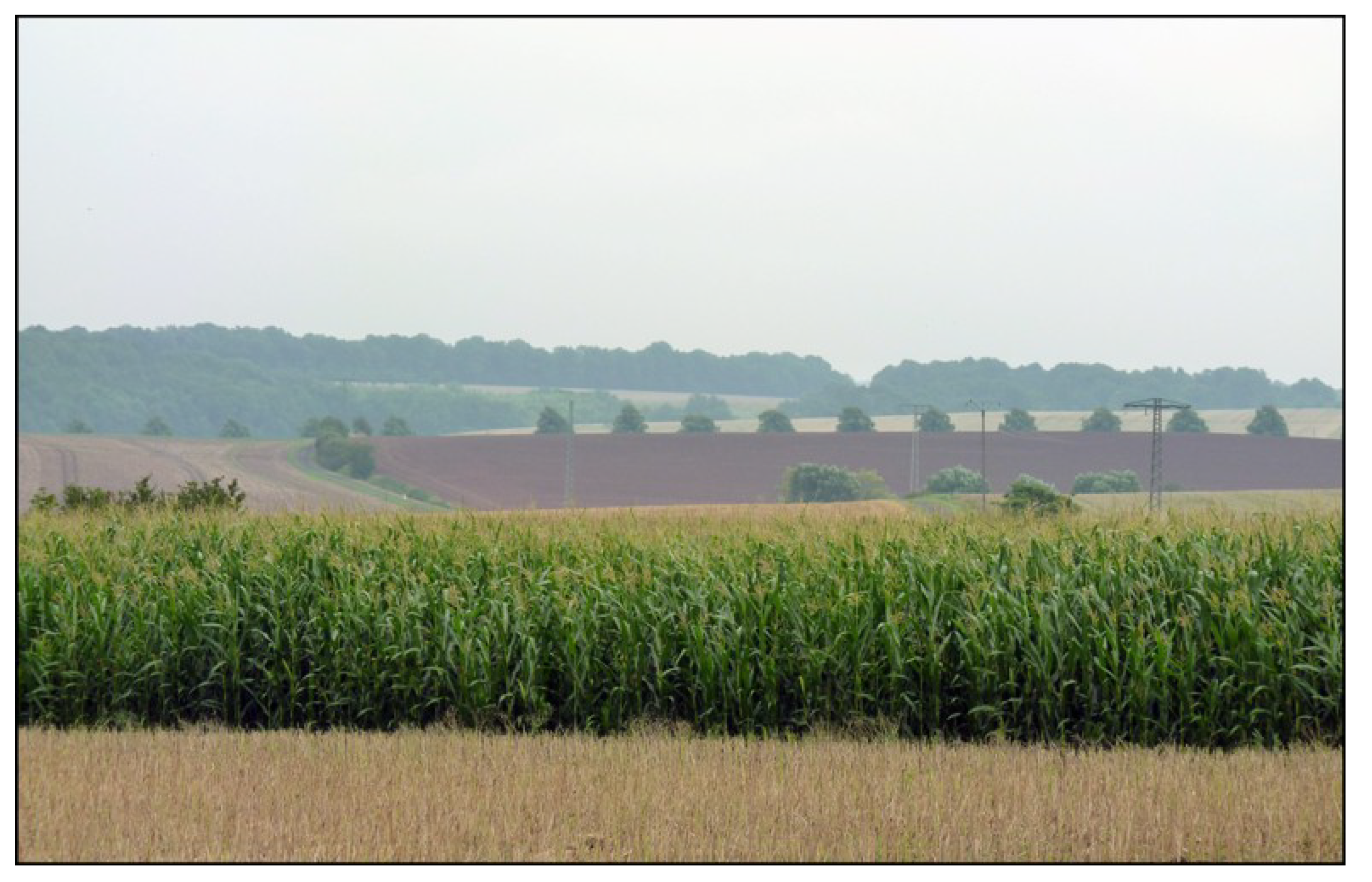 Sustainability 06 04386 g006 1024