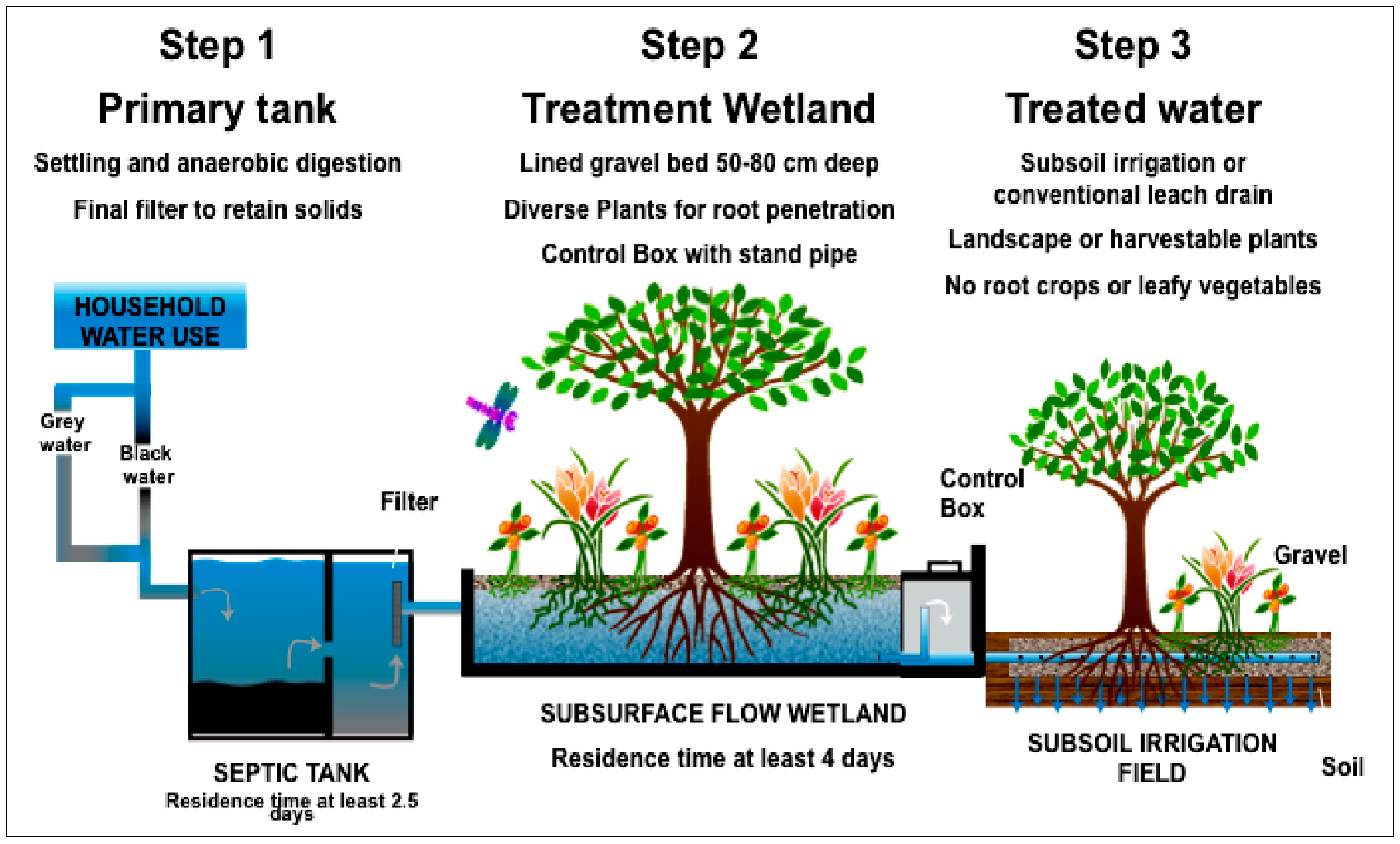 Sustainability Free FullText Sustainable Urban Biophilia The Case