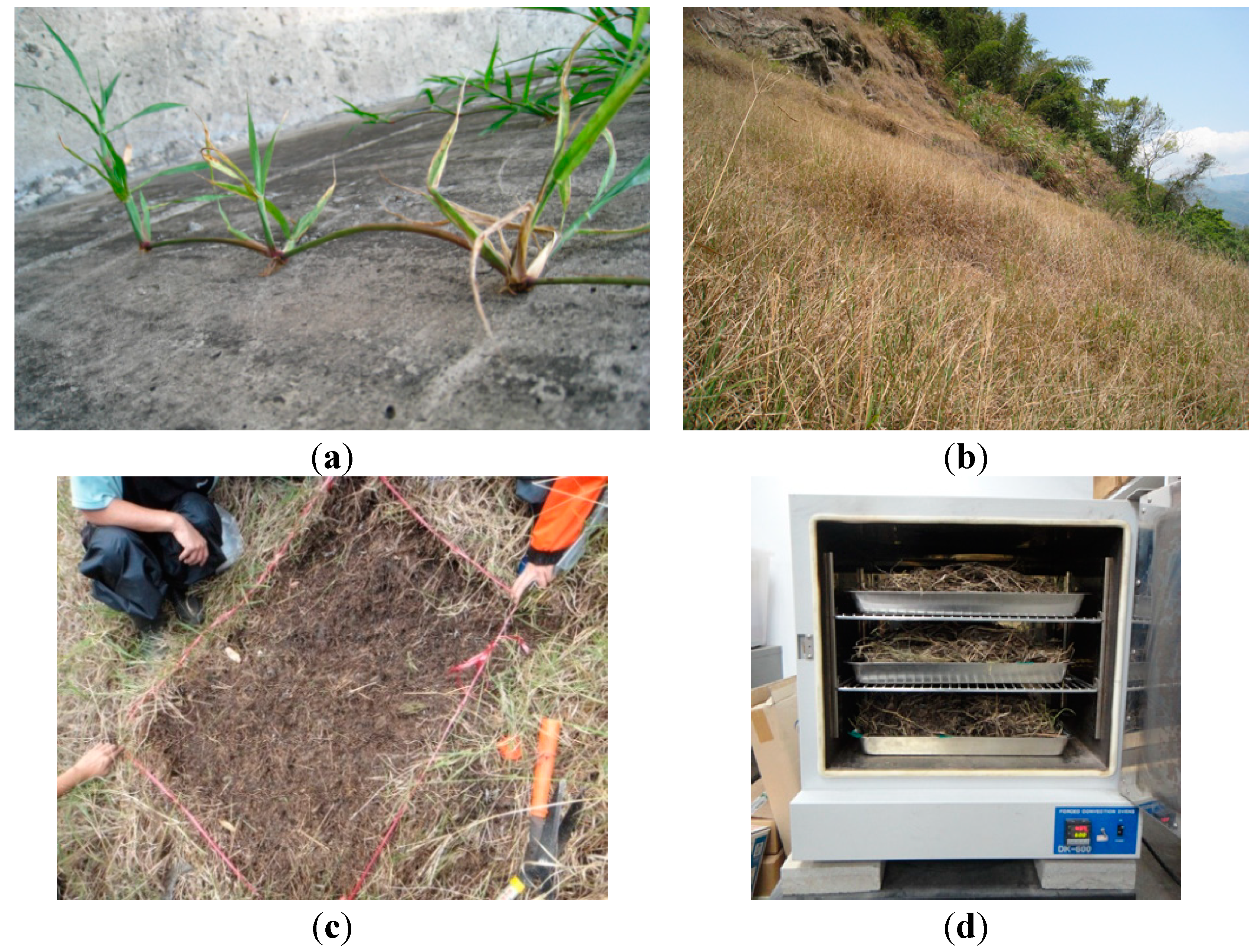 Sustainability 06 06766 g003