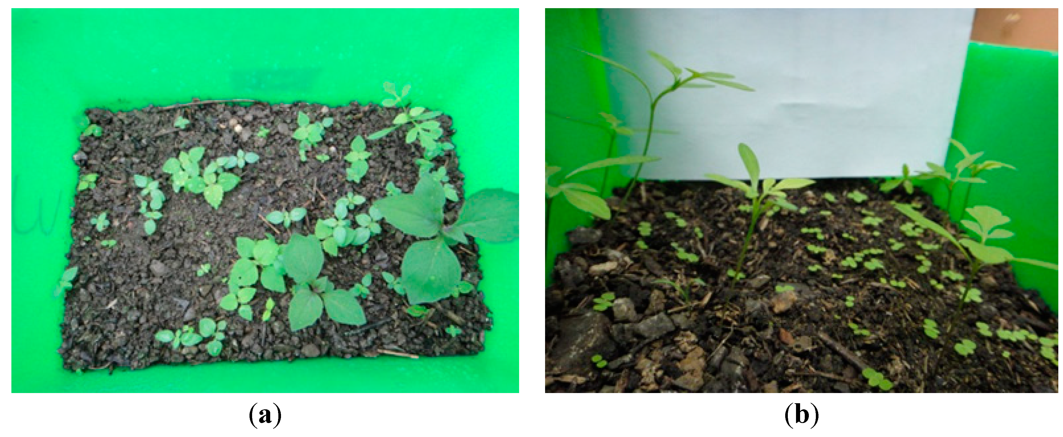 Sustainability 06 06766 g005