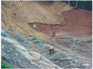 Sustainability 06 06766 i003