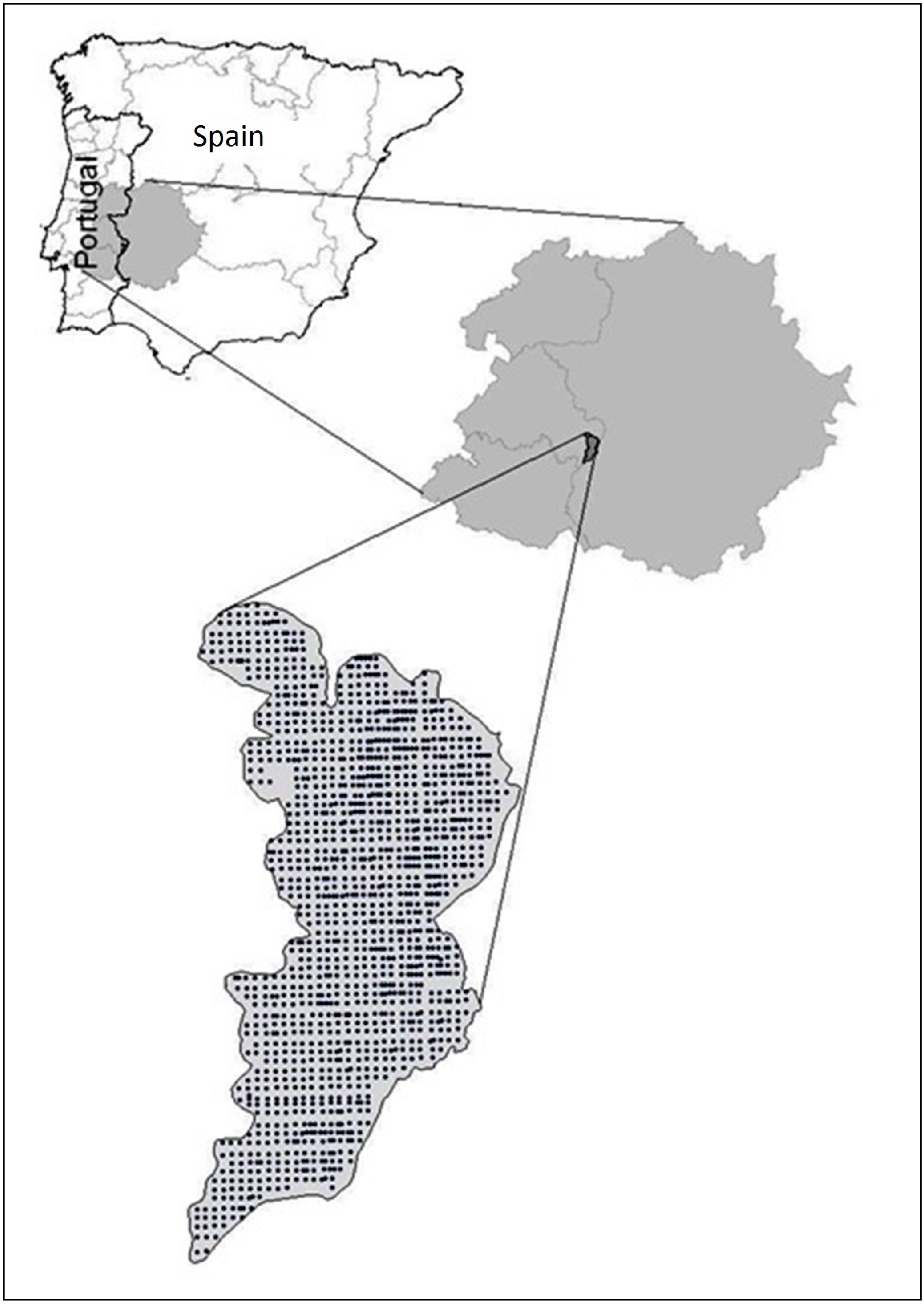 Sustainability 06 09124 g001