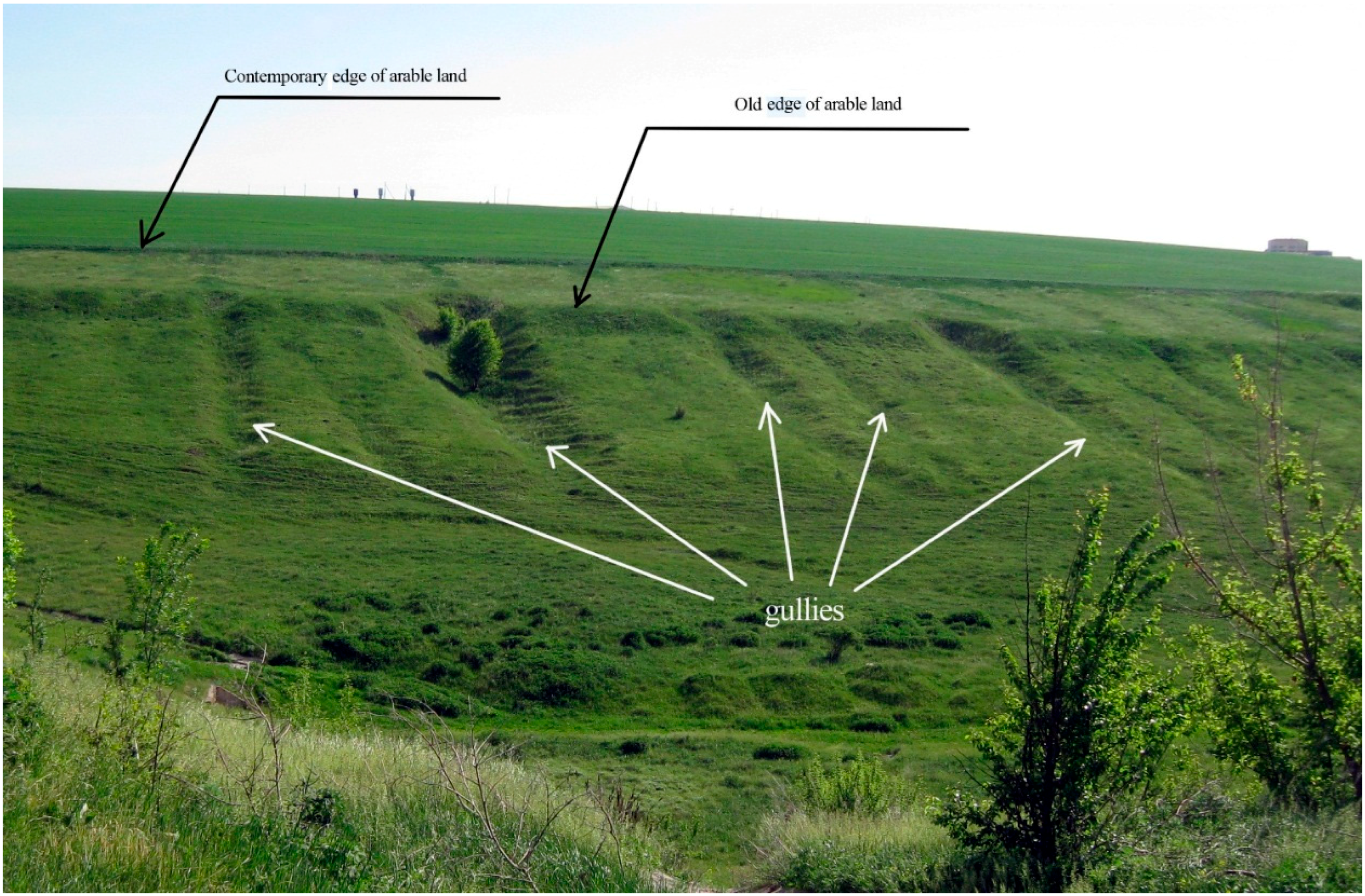 The main soil of the steppes. Chernozem and its main properties 14 The main soil of the steppes. Chernozem and its main properties 93