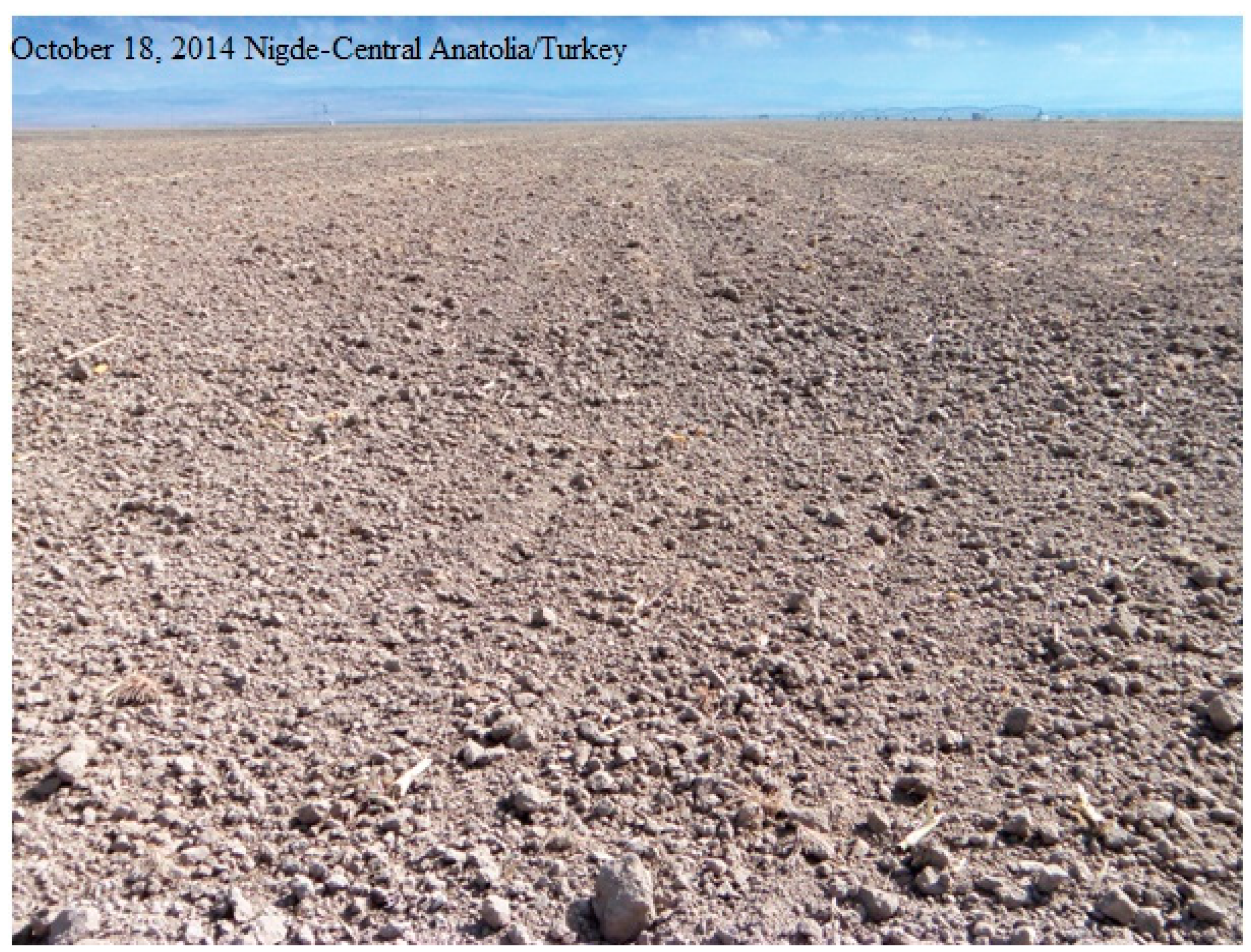 Sustainability 07 02161 g006 1024