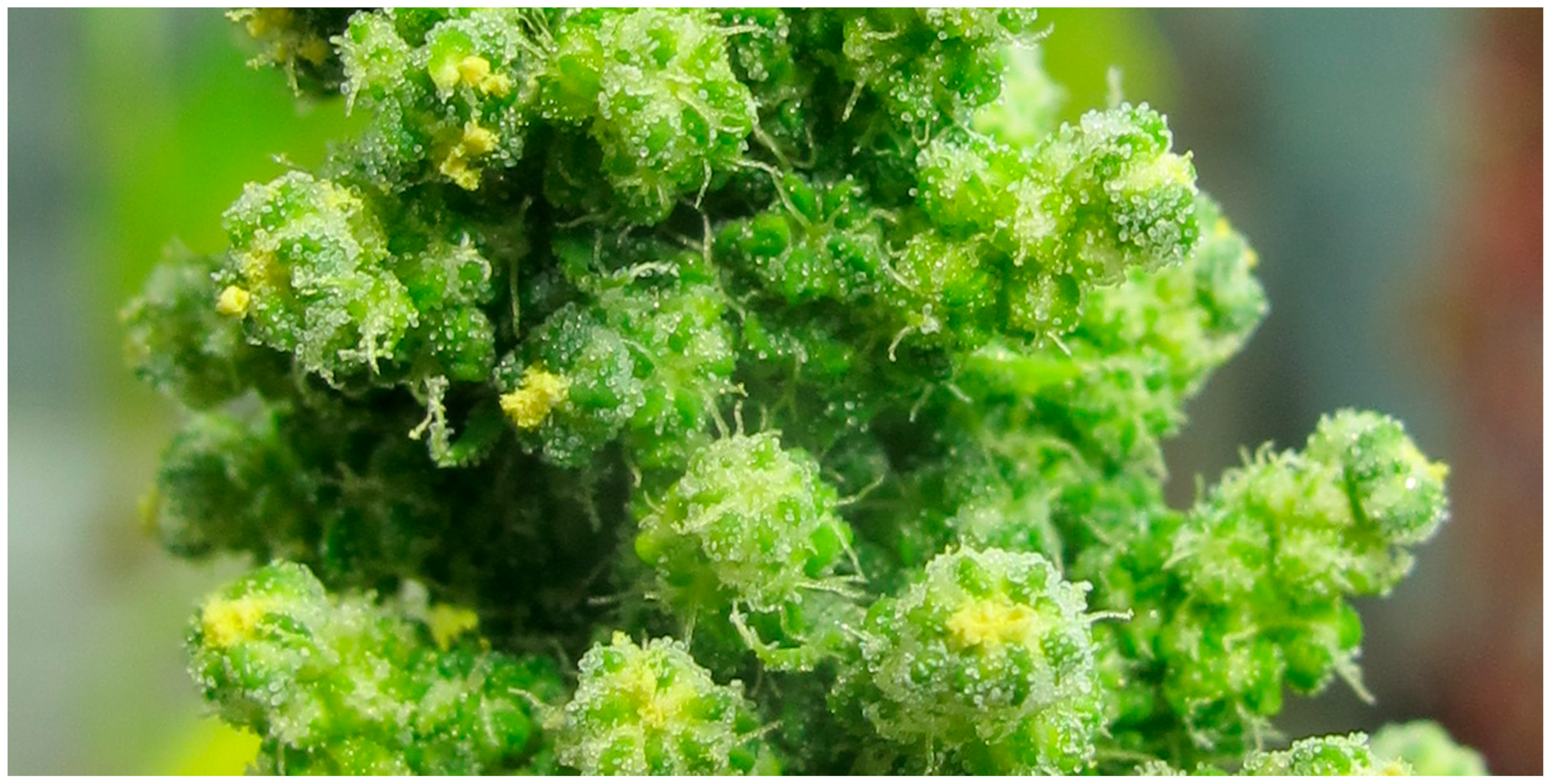 Sustainability 07 03230 g004 1024