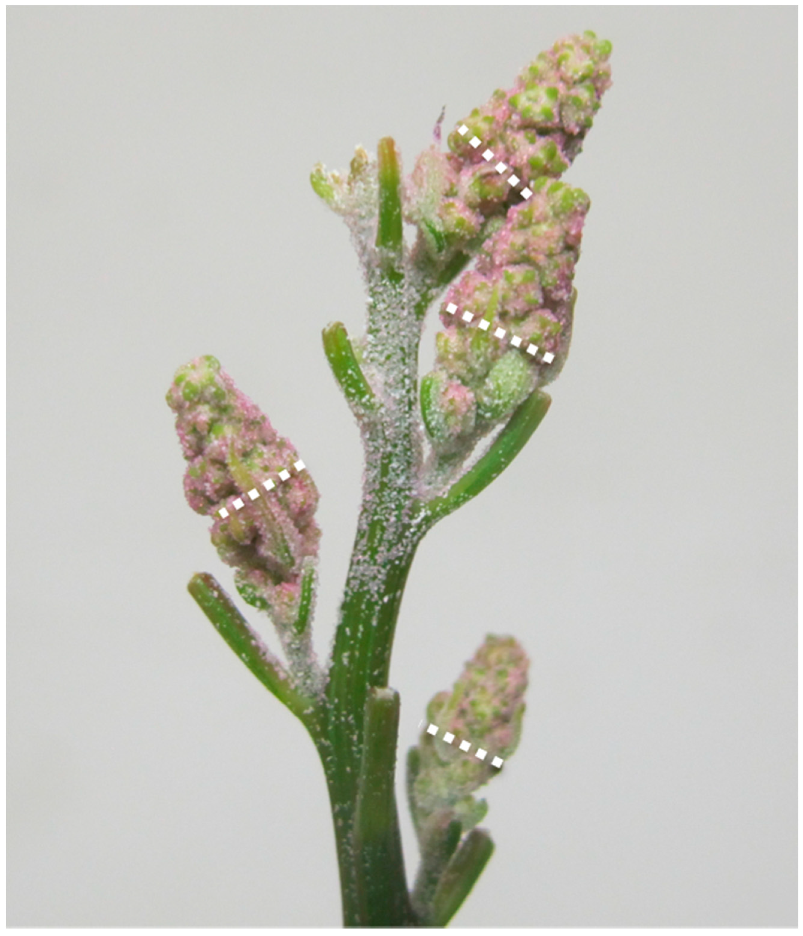 Sustainability 07 03230 g006 1024