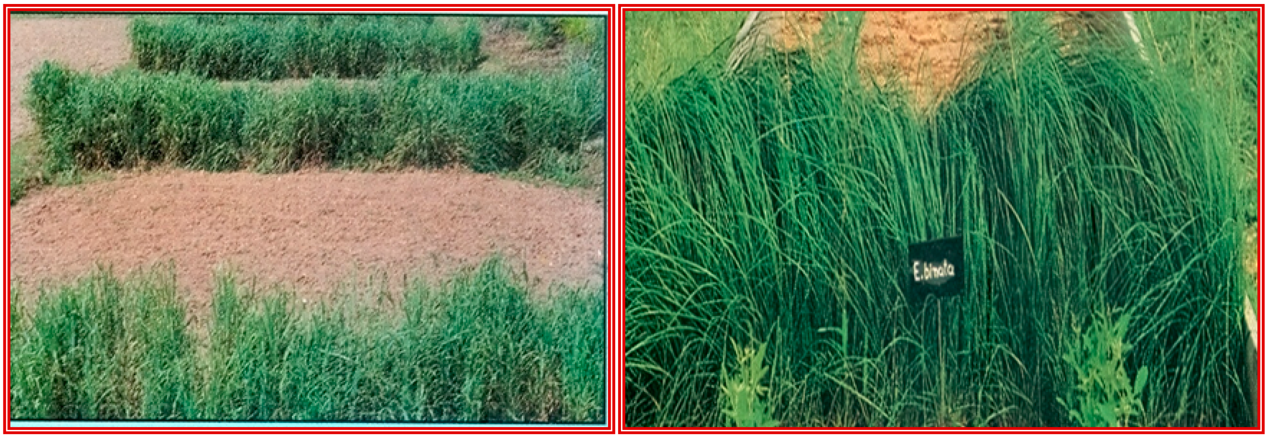 Sustainability 07 03528 g007 1024