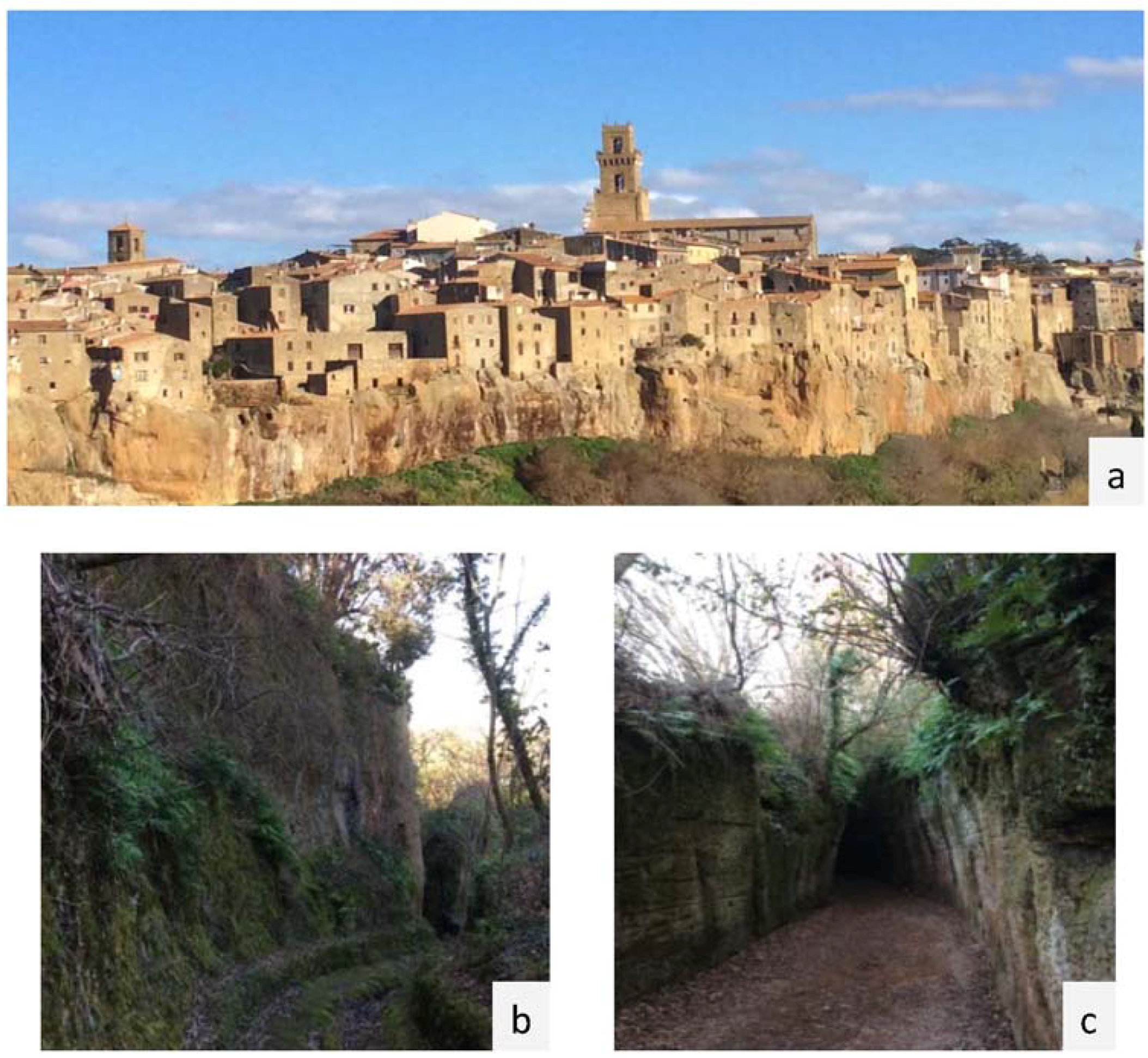 Sustainability 07 07530 g004 1024