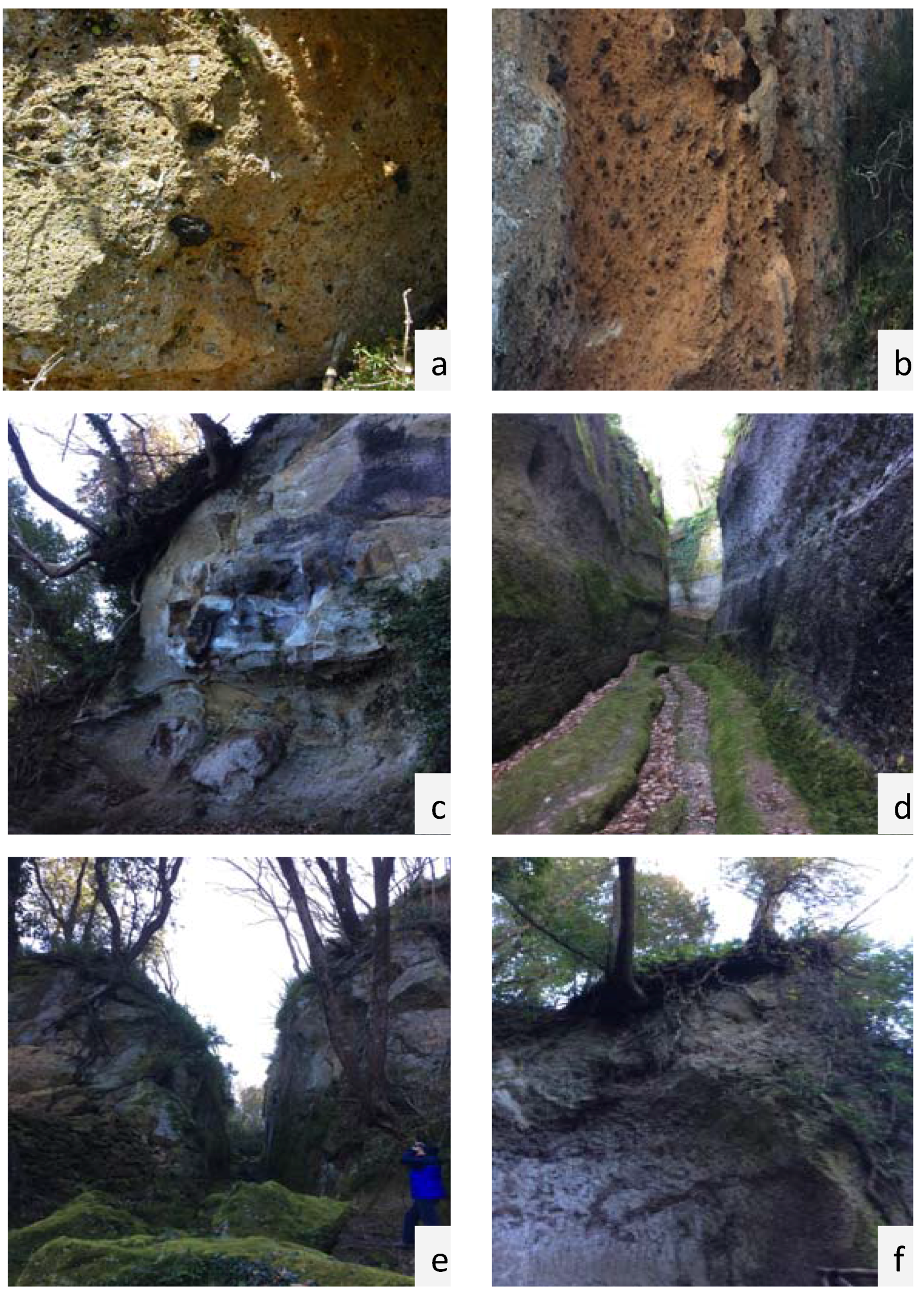 Sustainability 07 07530 g006 1024