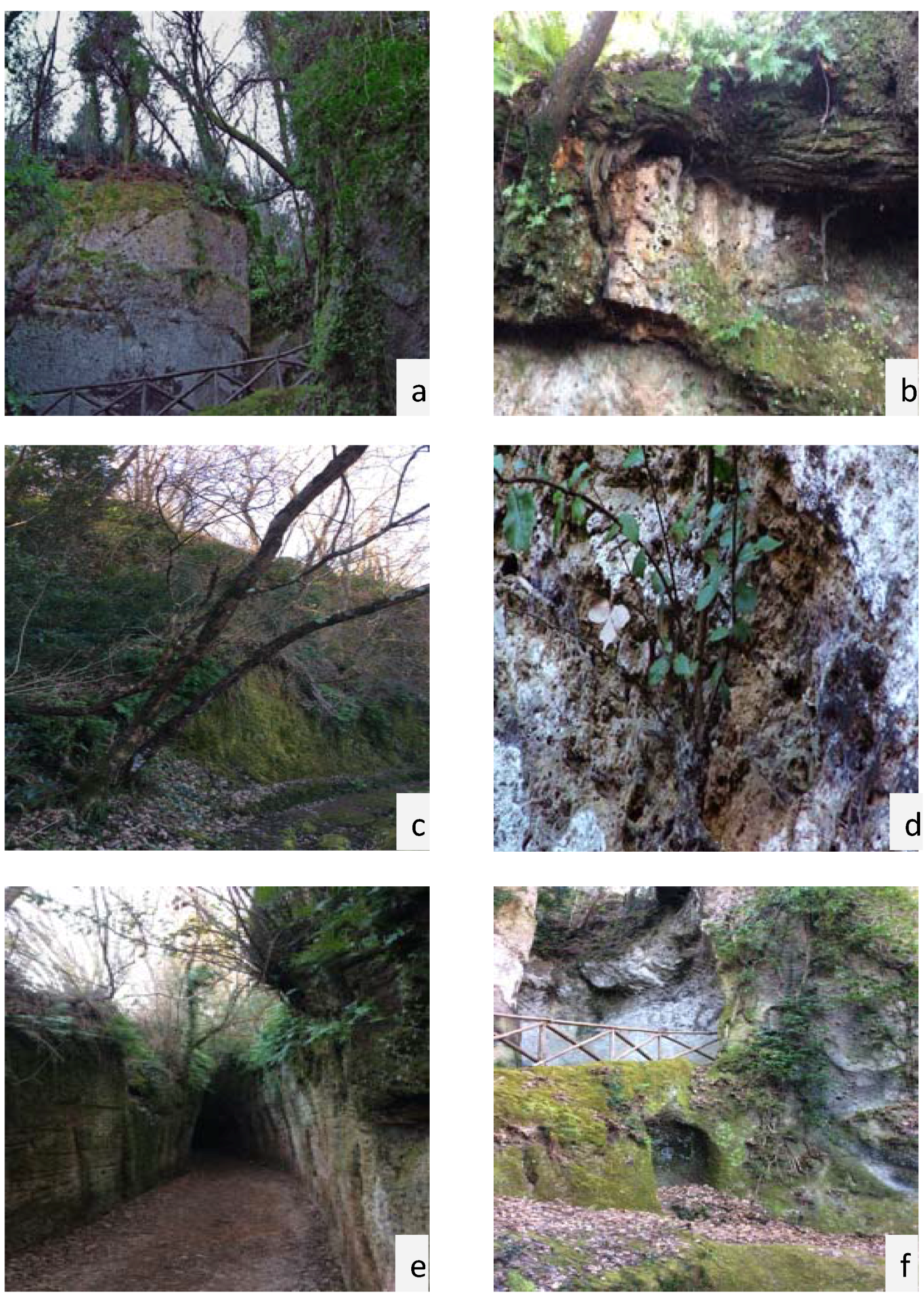 Sustainability 07 07530 g007 1024