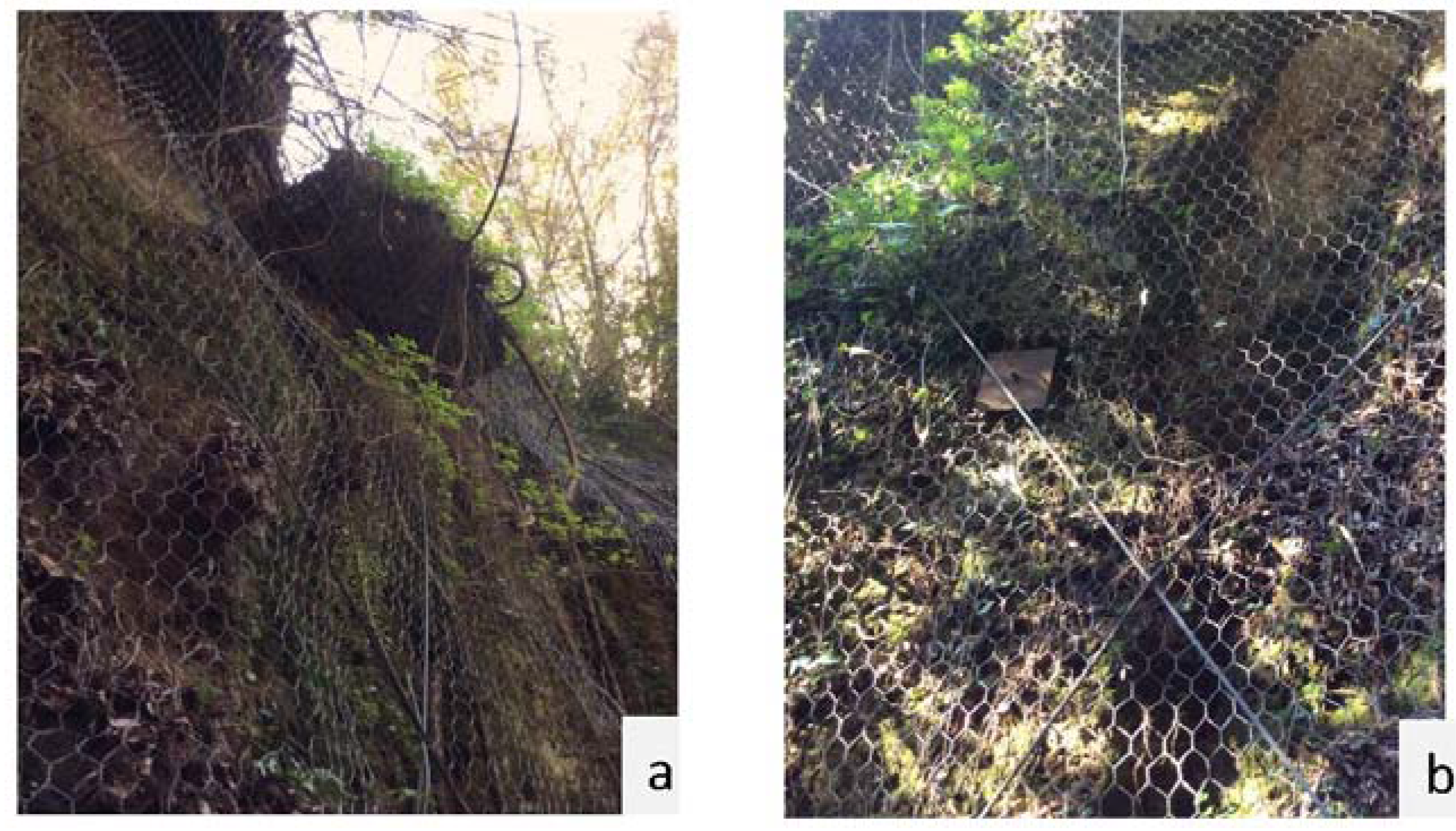 Sustainability 07 07530 g008 1024