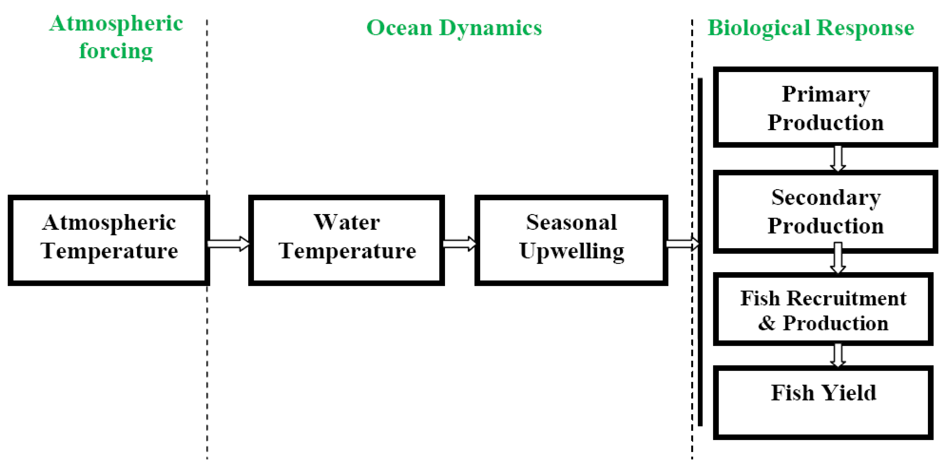 Seafood Yield Chart