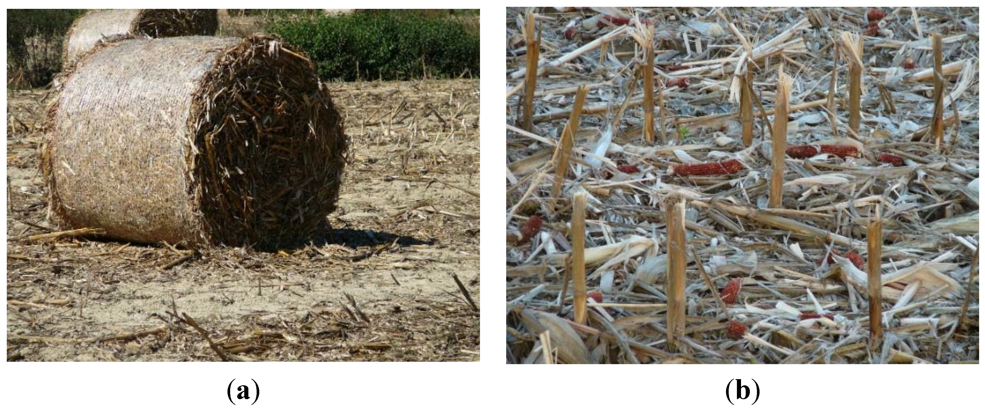 Sustainability 07 08491 g003