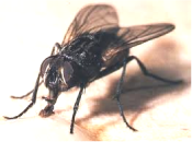 Sustainability 07 09344f15