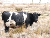 Sustainability 07 09344f20