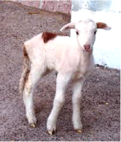 Sustainability 07 09344f24