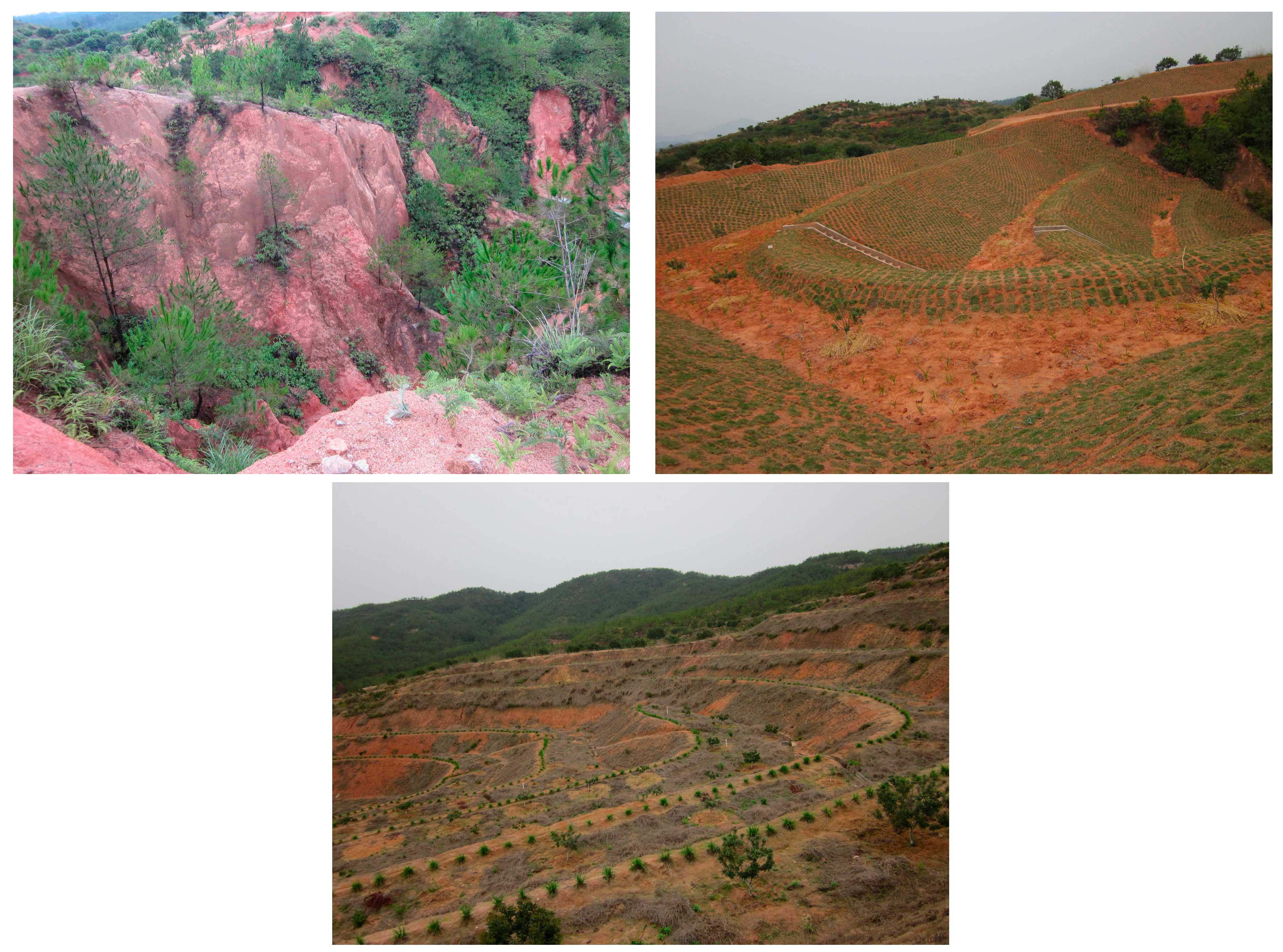 Sustainability 07 10308 g002 1024