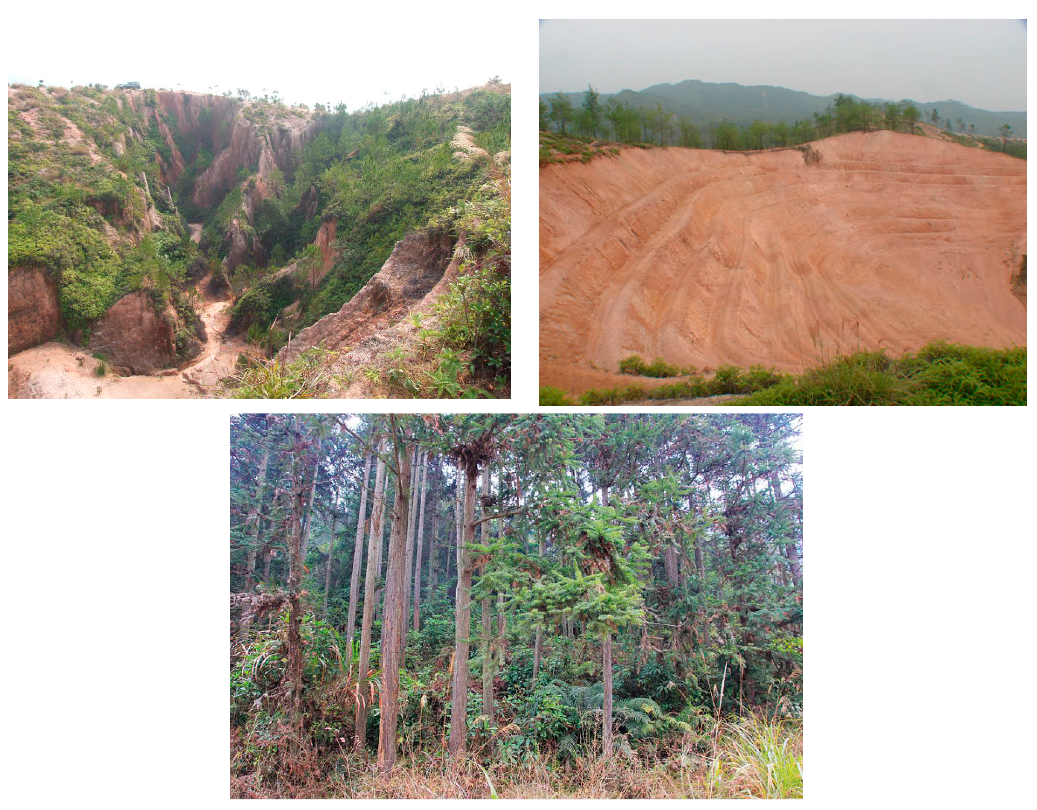 Sustainability 07 10308 g003 1024