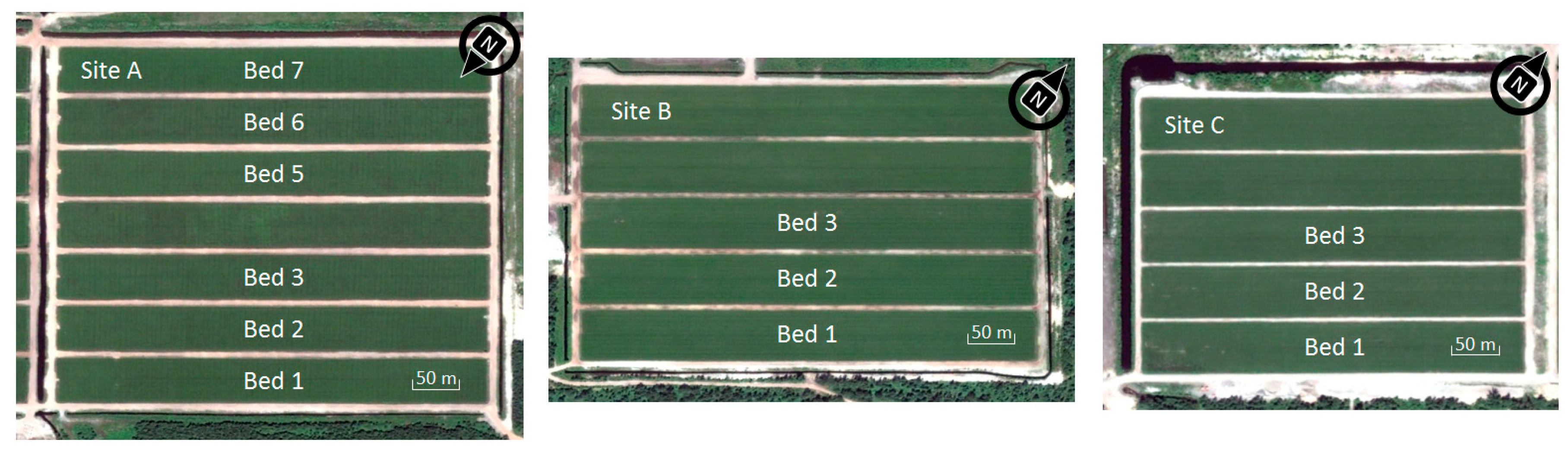 Sustainability 07 10602 g001