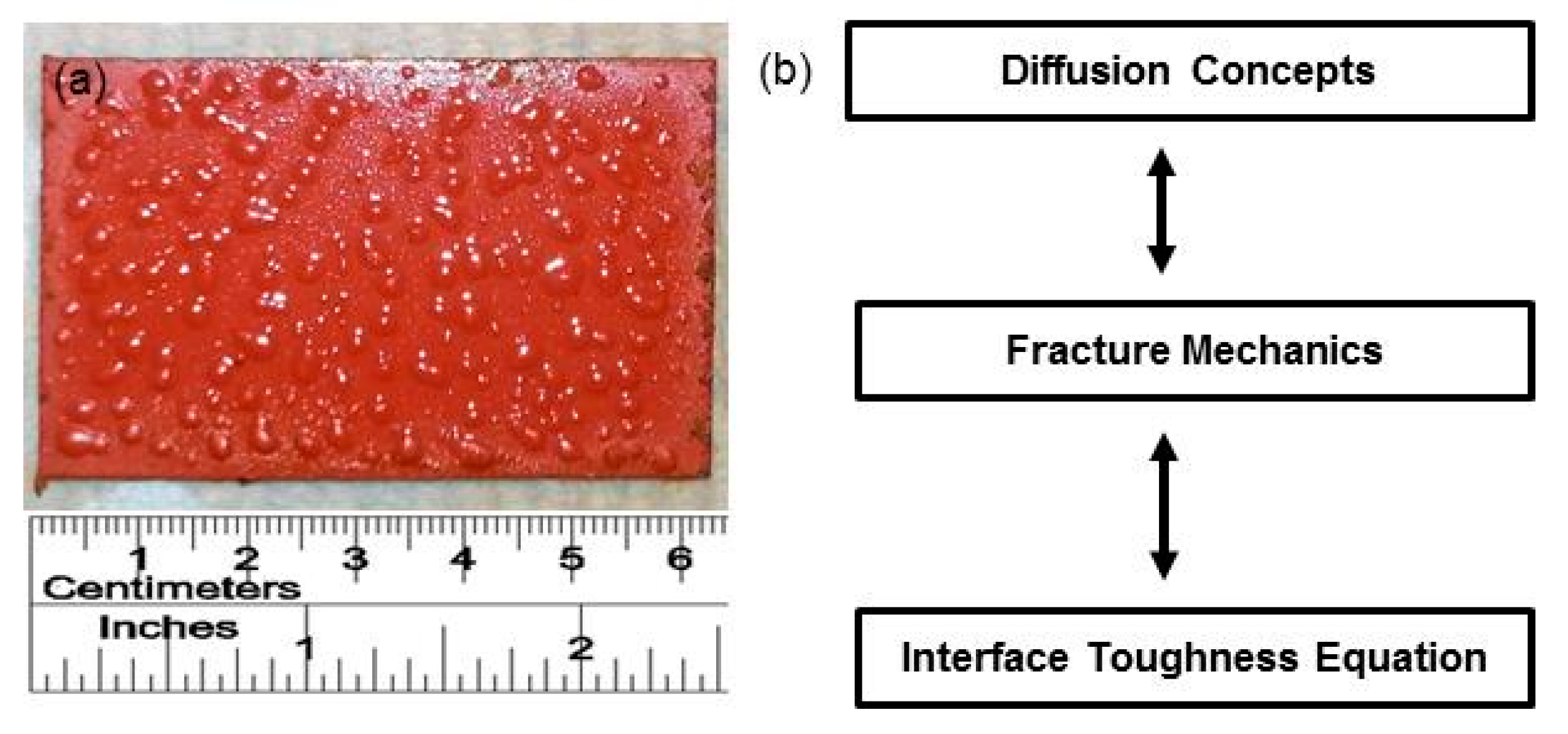 Sustainability 07 15825 g011 1024