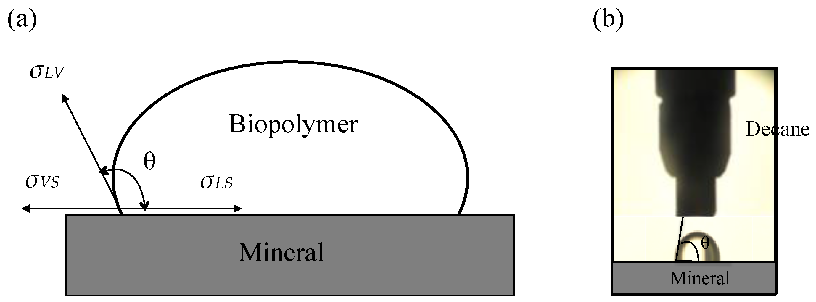 Sustainability 08 00205 g003