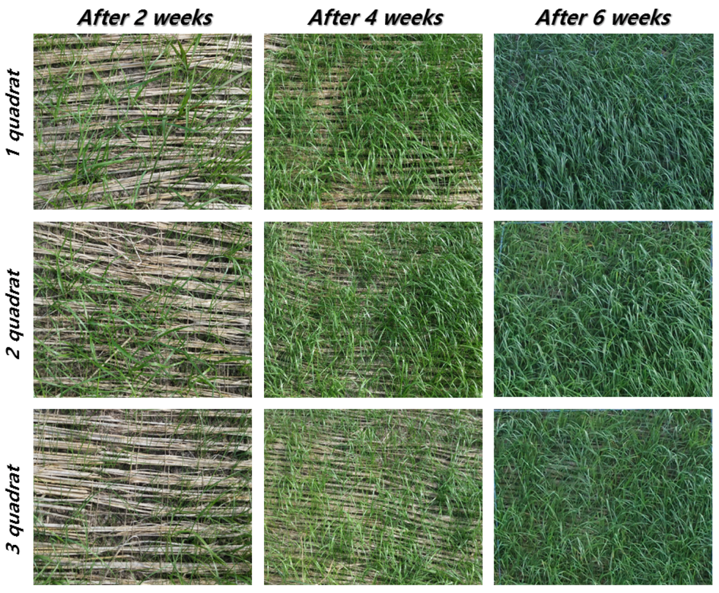 Sustainability 08 00294 g020 1024