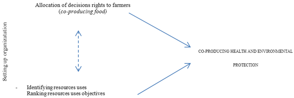 hedonic value definition hedonic value definition