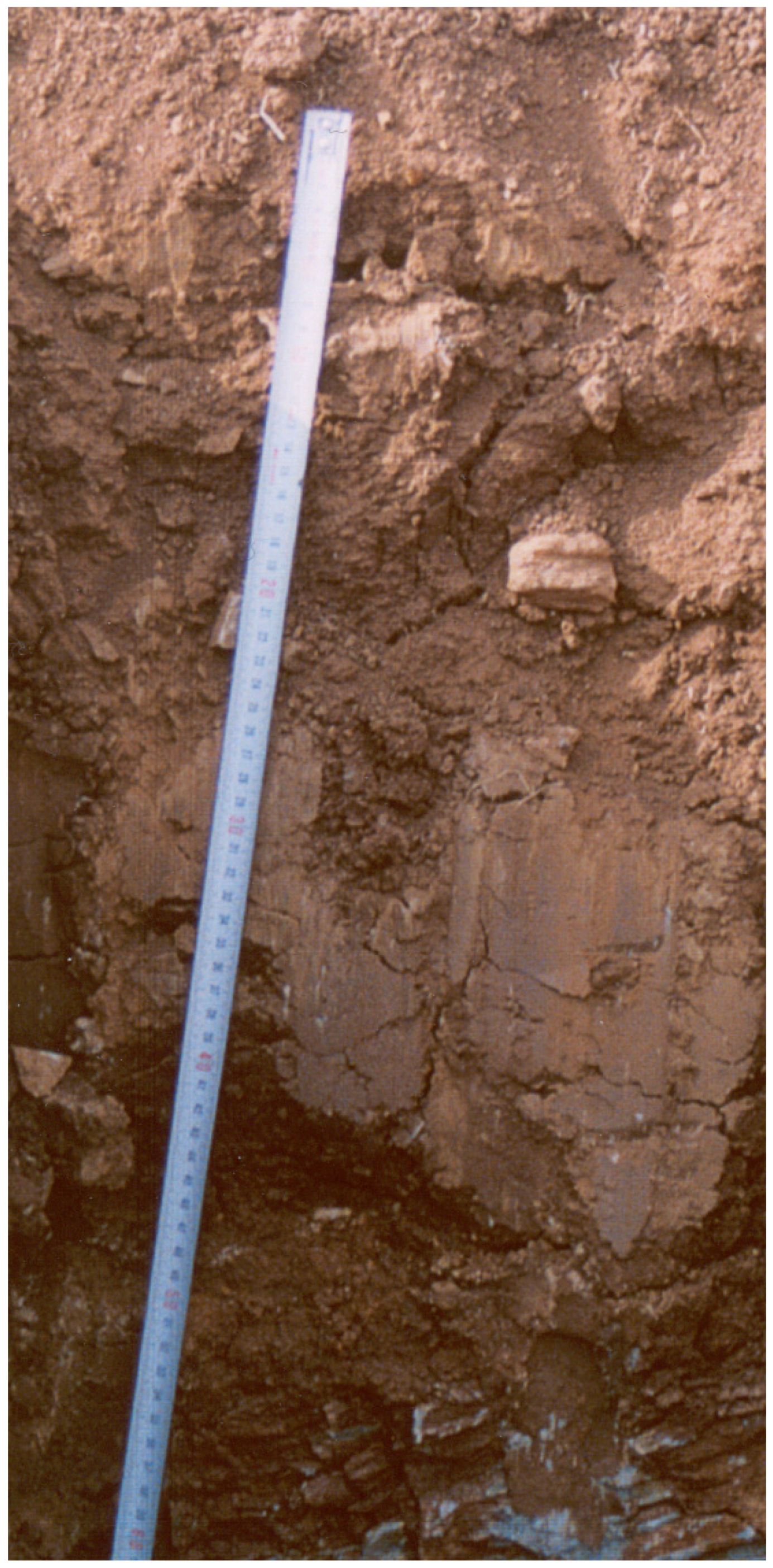 Sustainability 08 00368 g003