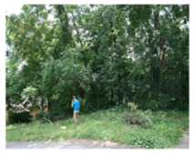 Sustainability 08 00486 i003