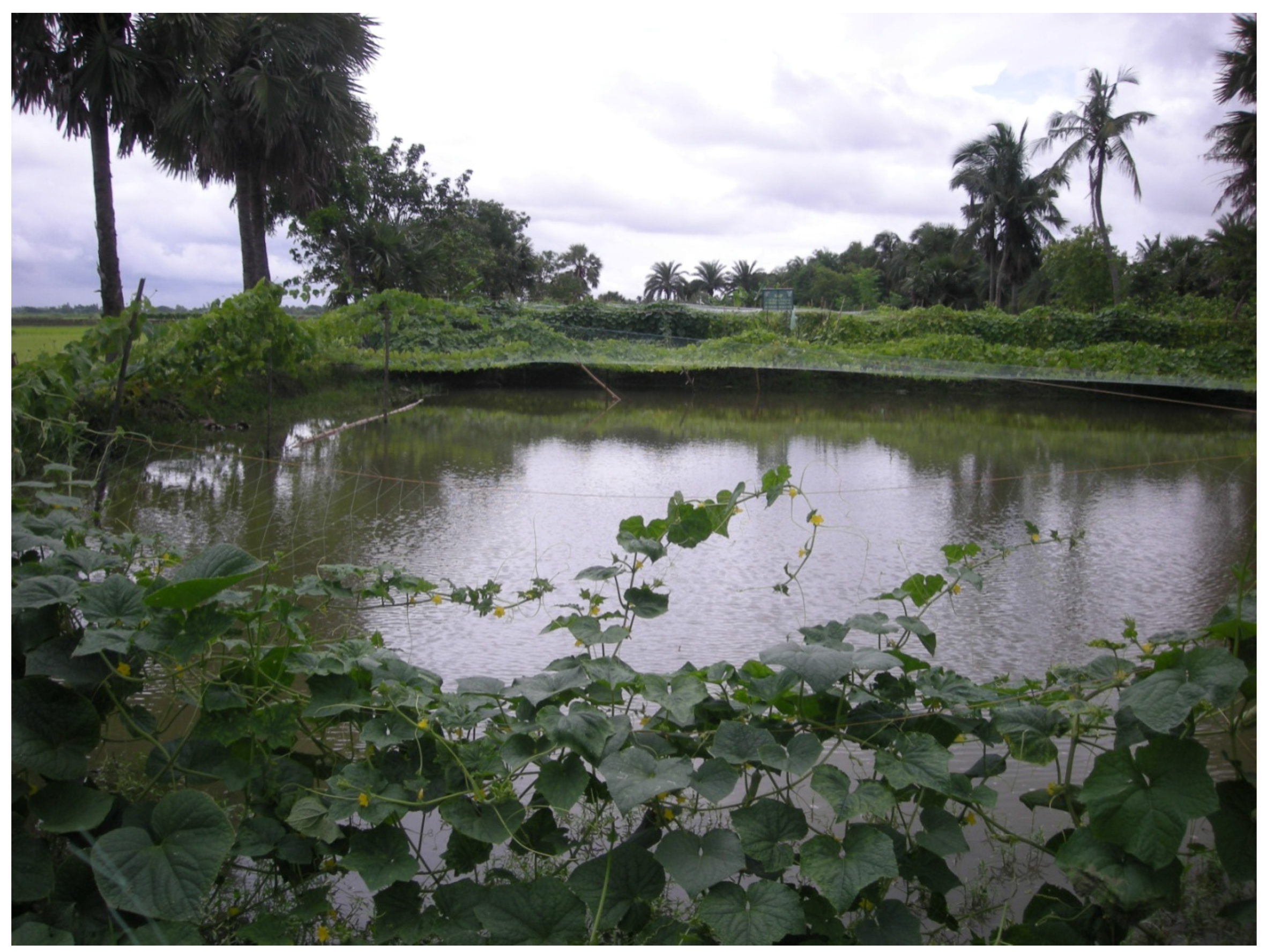 Sustainability 08 00565 g006 1024