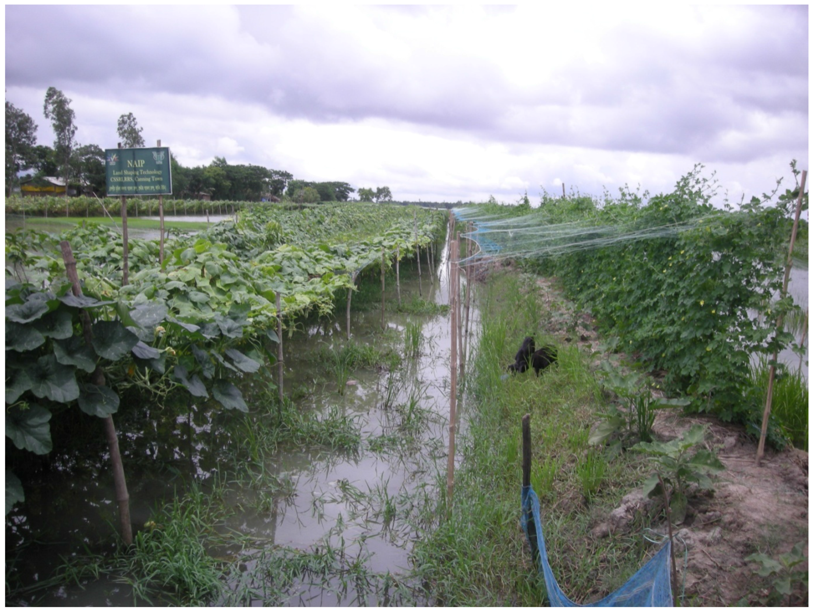 Sustainability 08 00565 g007 1024