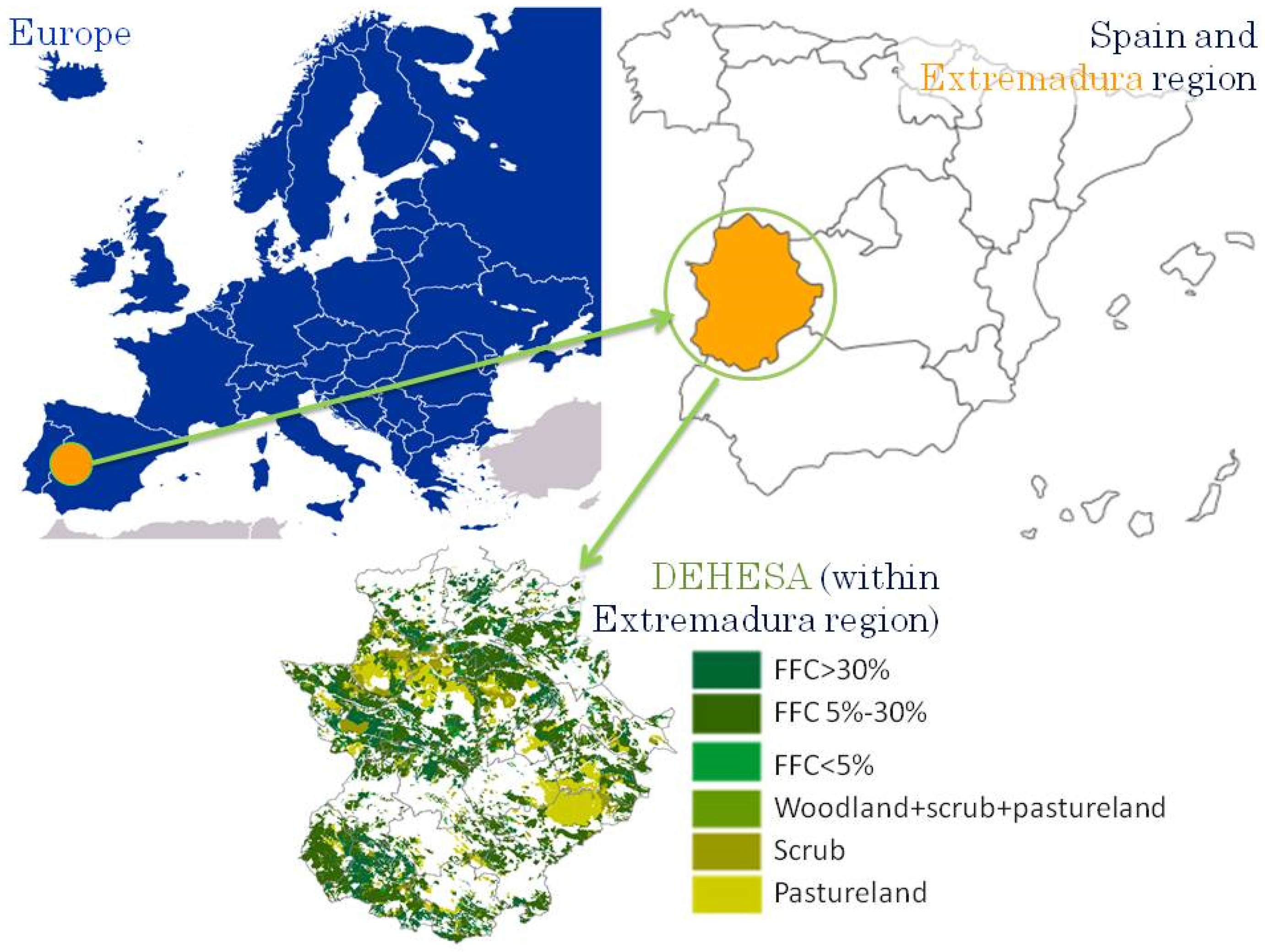 Sustainability 08 00572 g001