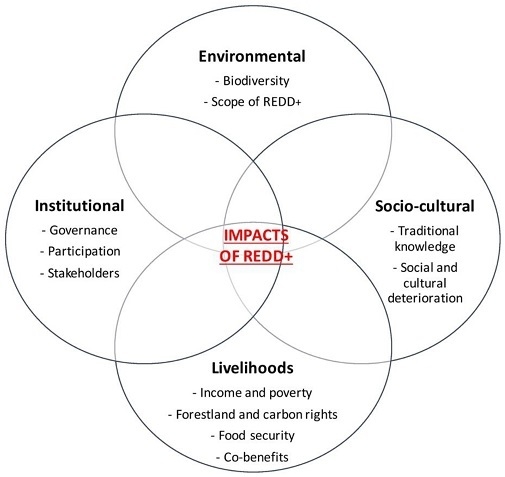 name three social benefits provided by biodiversity name three social benefits provided by biodiversity