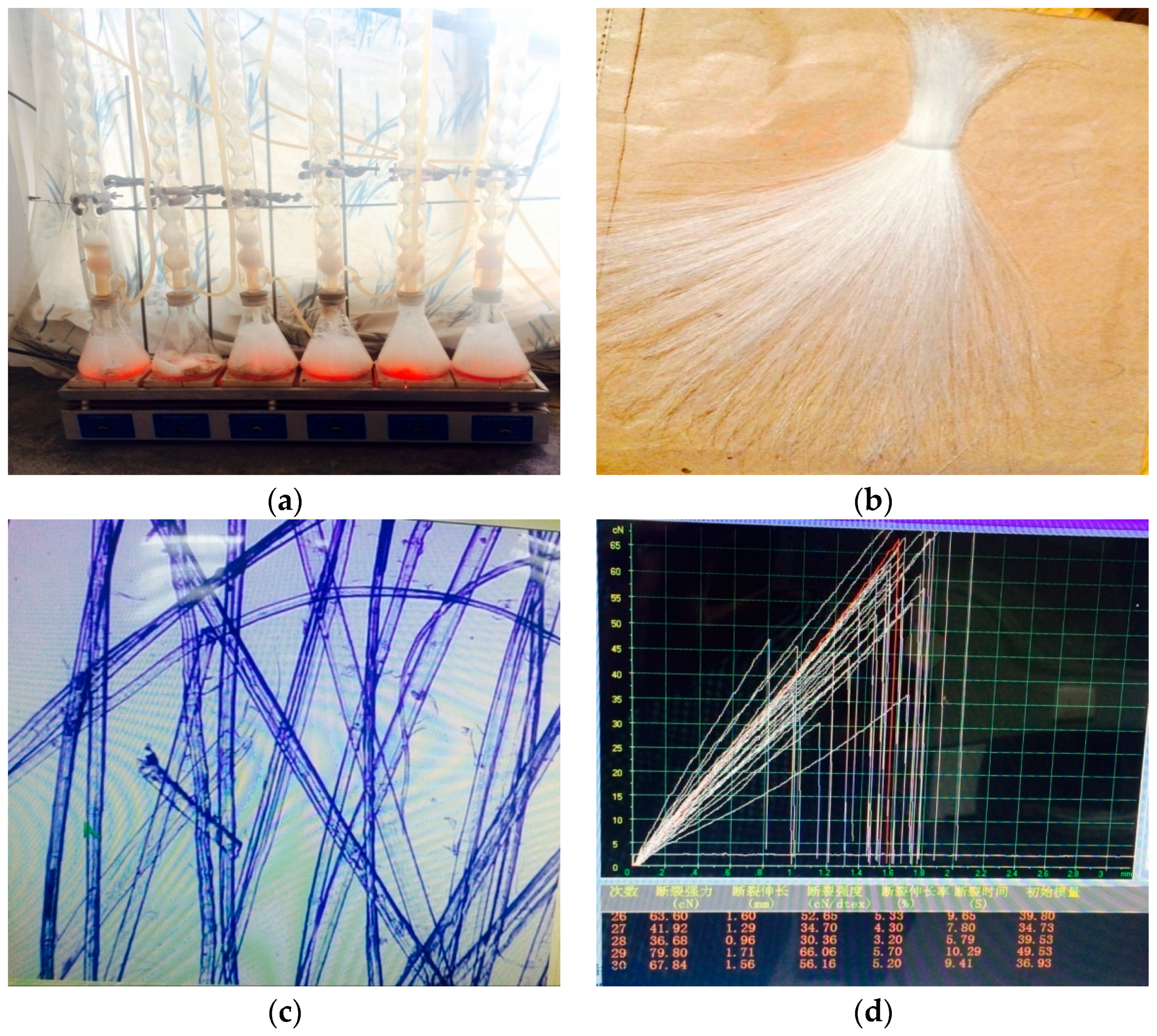 Sustainability 08 00887 g002 1024