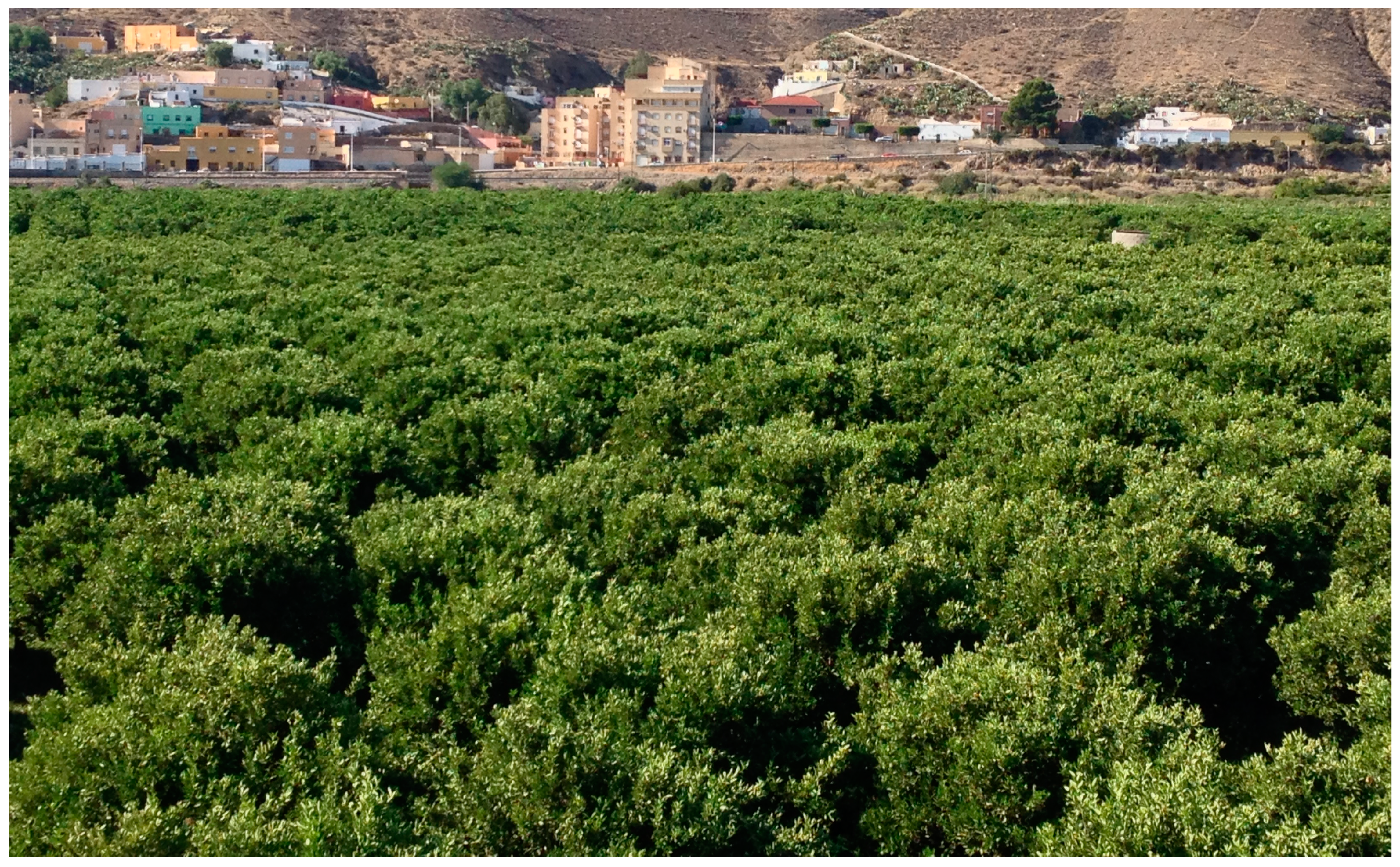 Sustainability 08 00918 g002 1024