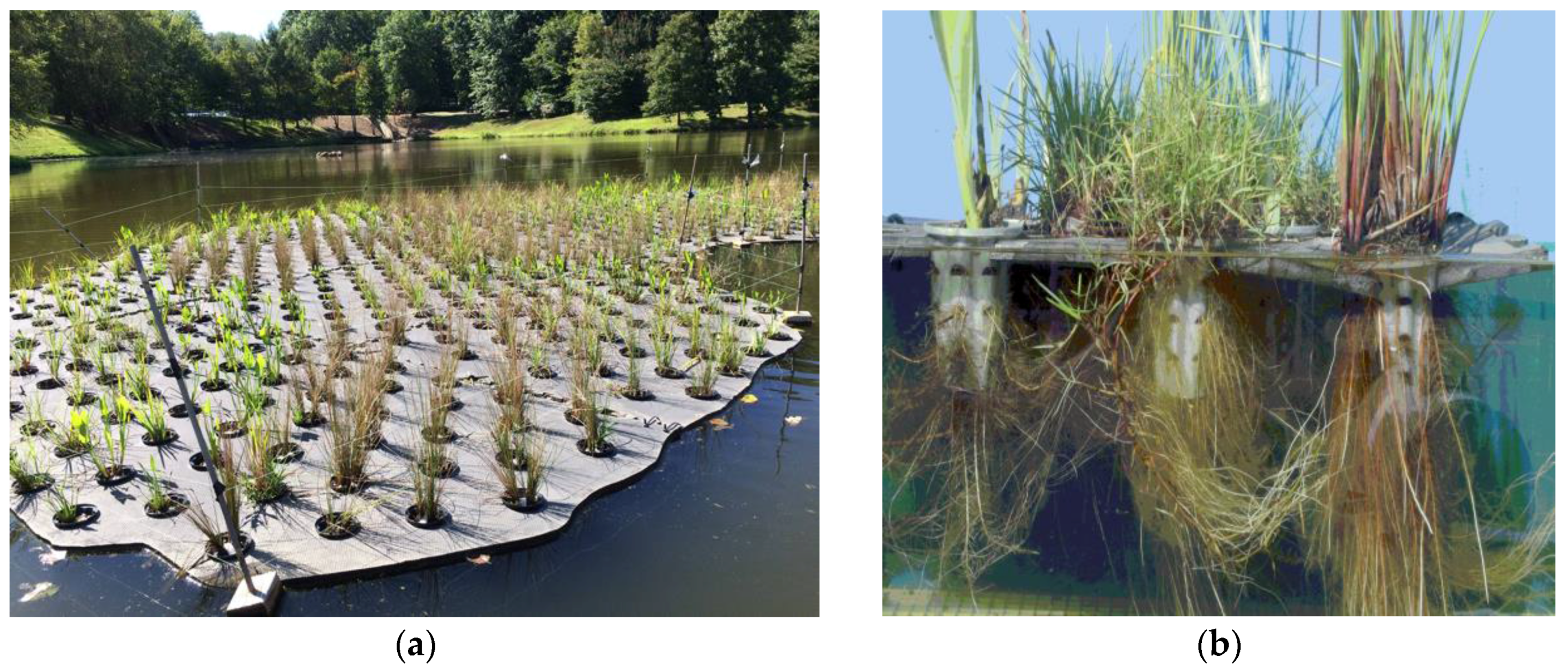 Sustainability Free Full Text Nitrogen and Sediment Capture of