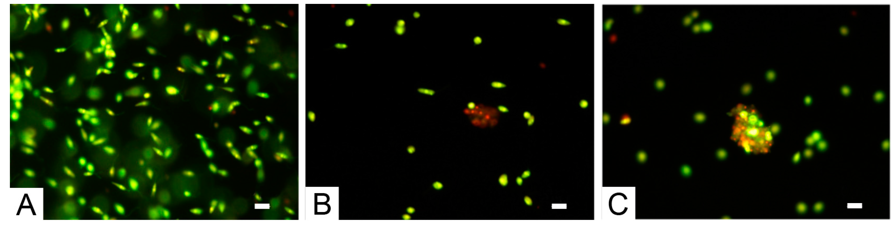 Sustainability 08 01131 g004