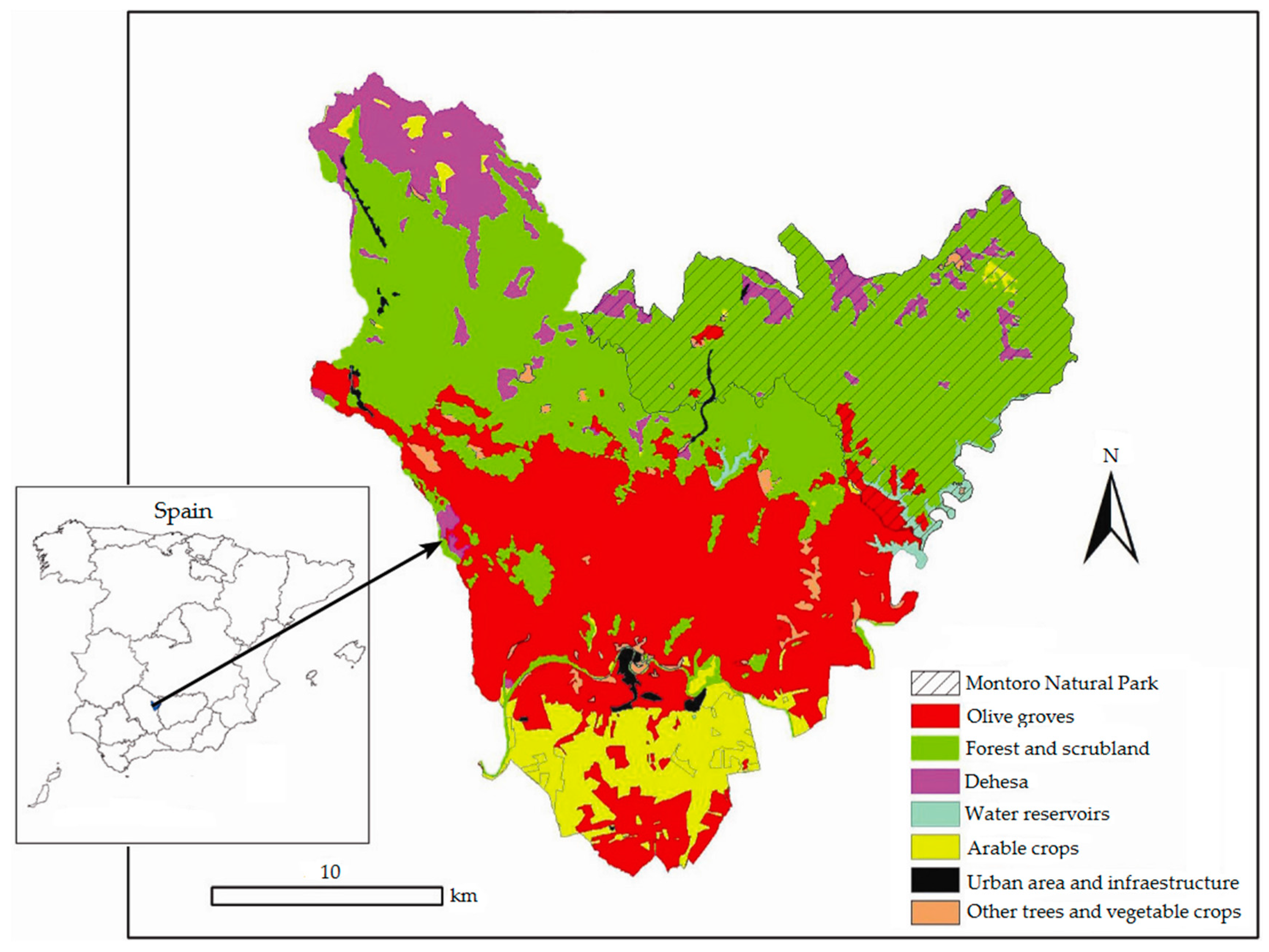 Sustainability 08 01160 g002 550