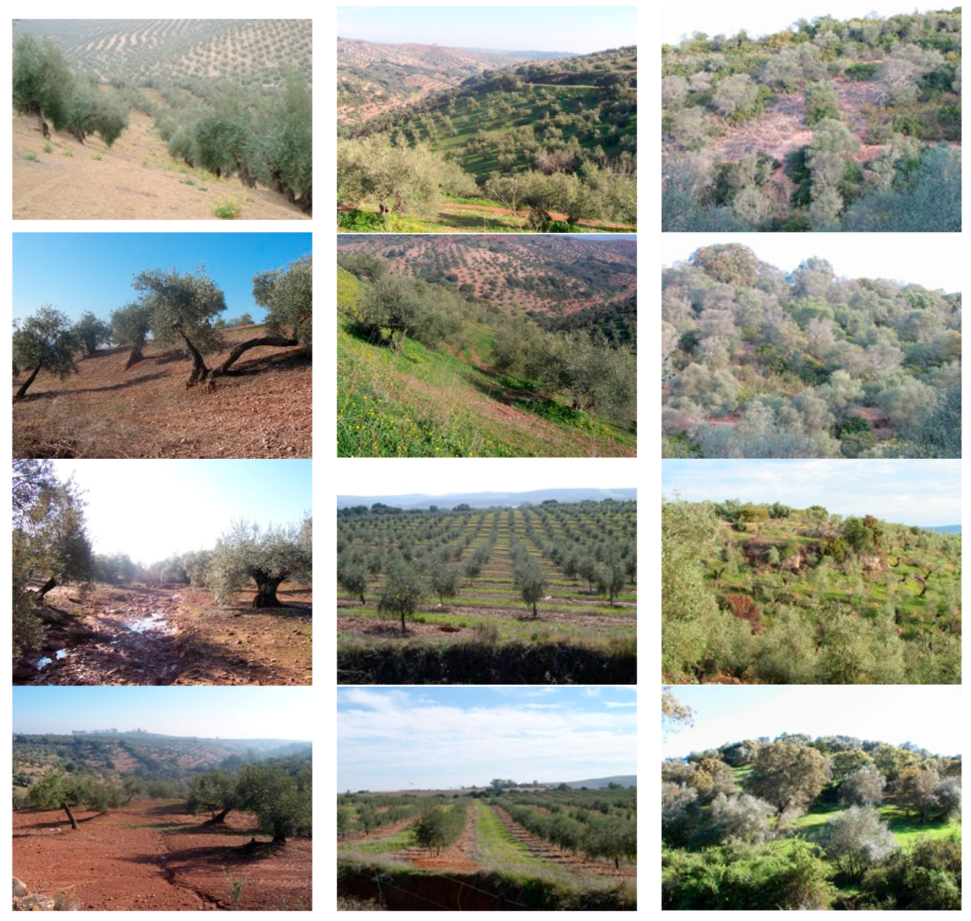 Sustainability 08 01160 g006a 550