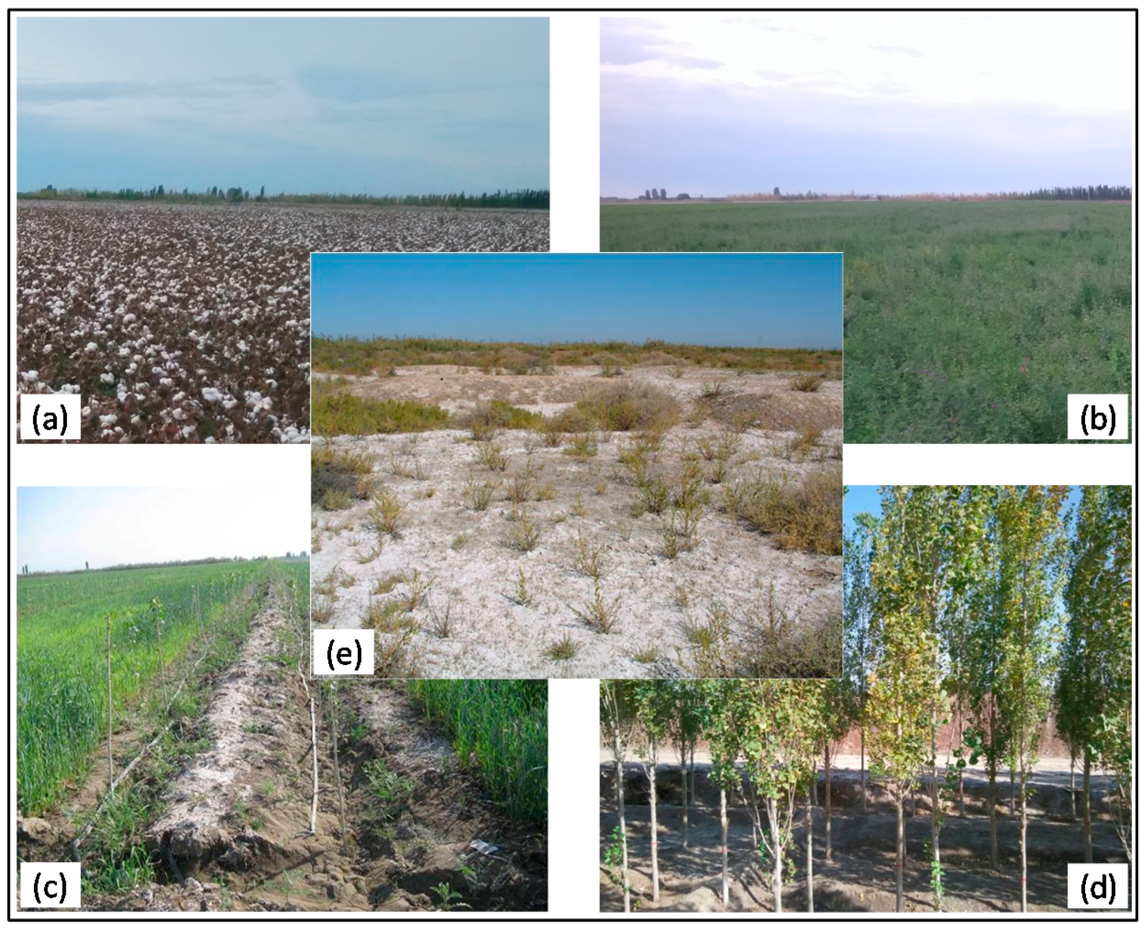 Sustainability 08 01183 g002 550