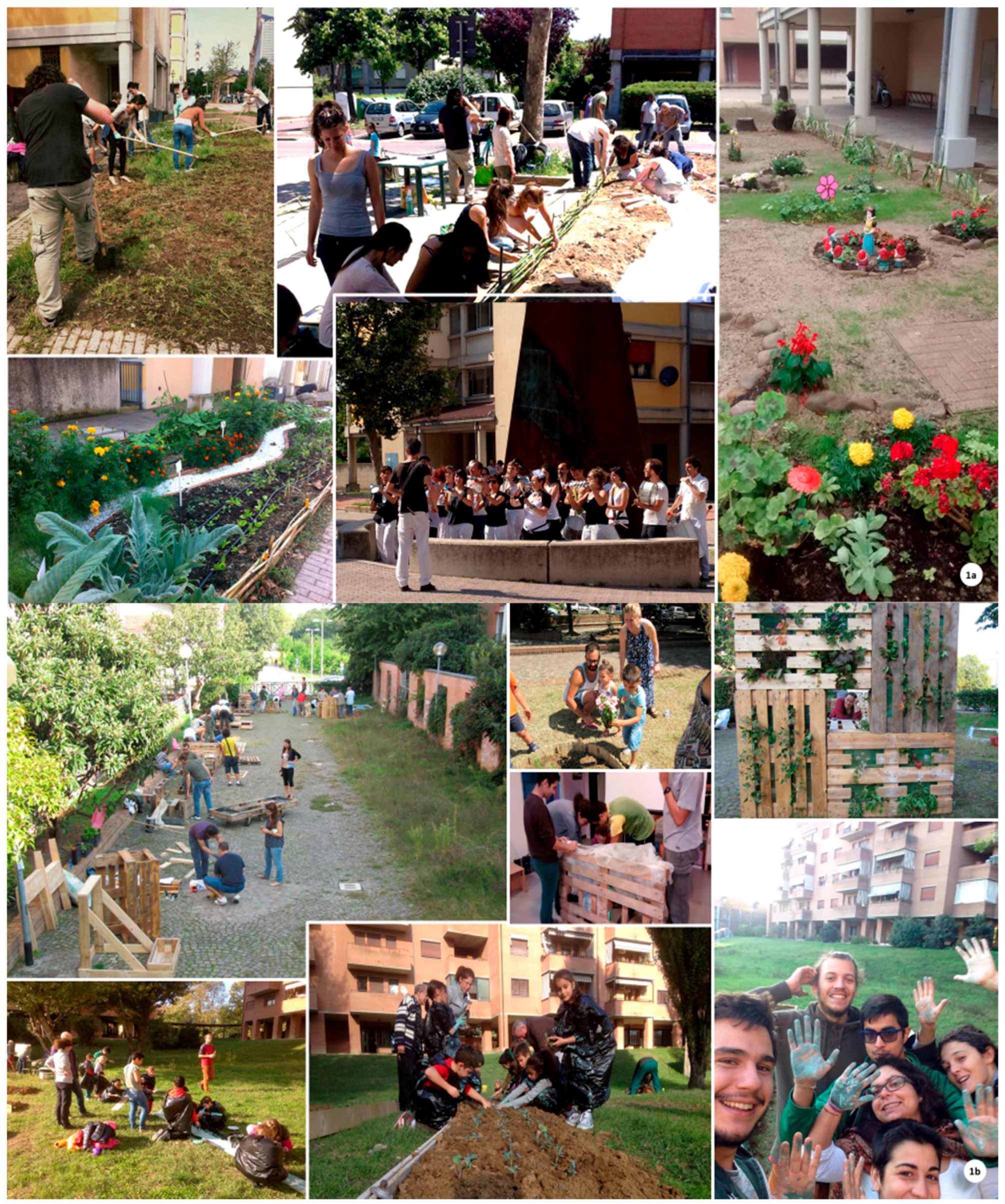 Sustainability 08 01347 g004a