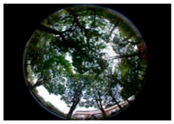 Sustainability 09 00340 i007