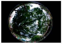 Sustainability 09 00340 i009