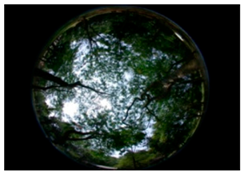 Sustainability 09 00340 i010