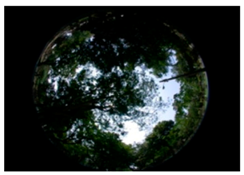 Sustainability 09 00340 i011