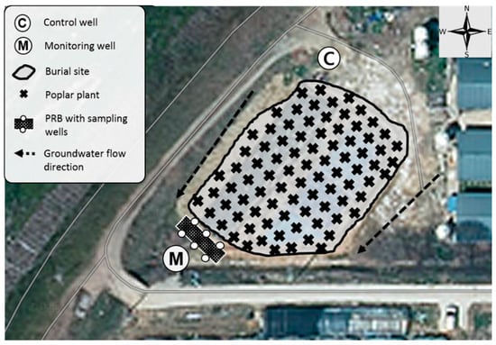 Sustainability | Free Full-Text | Management of Animal Carcass Disposal  Sites Using a Biochar Permeable Reactive Barrier and Fast Growth Tree  (Populus euramericana): A Field Study in Korea