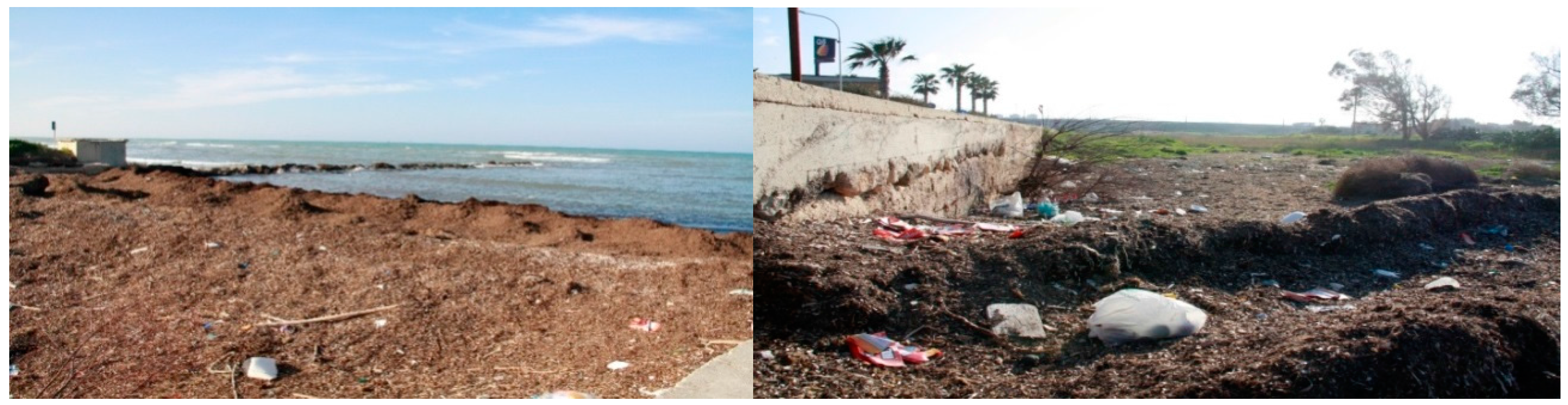 Sustainability 09 00564 g015 550