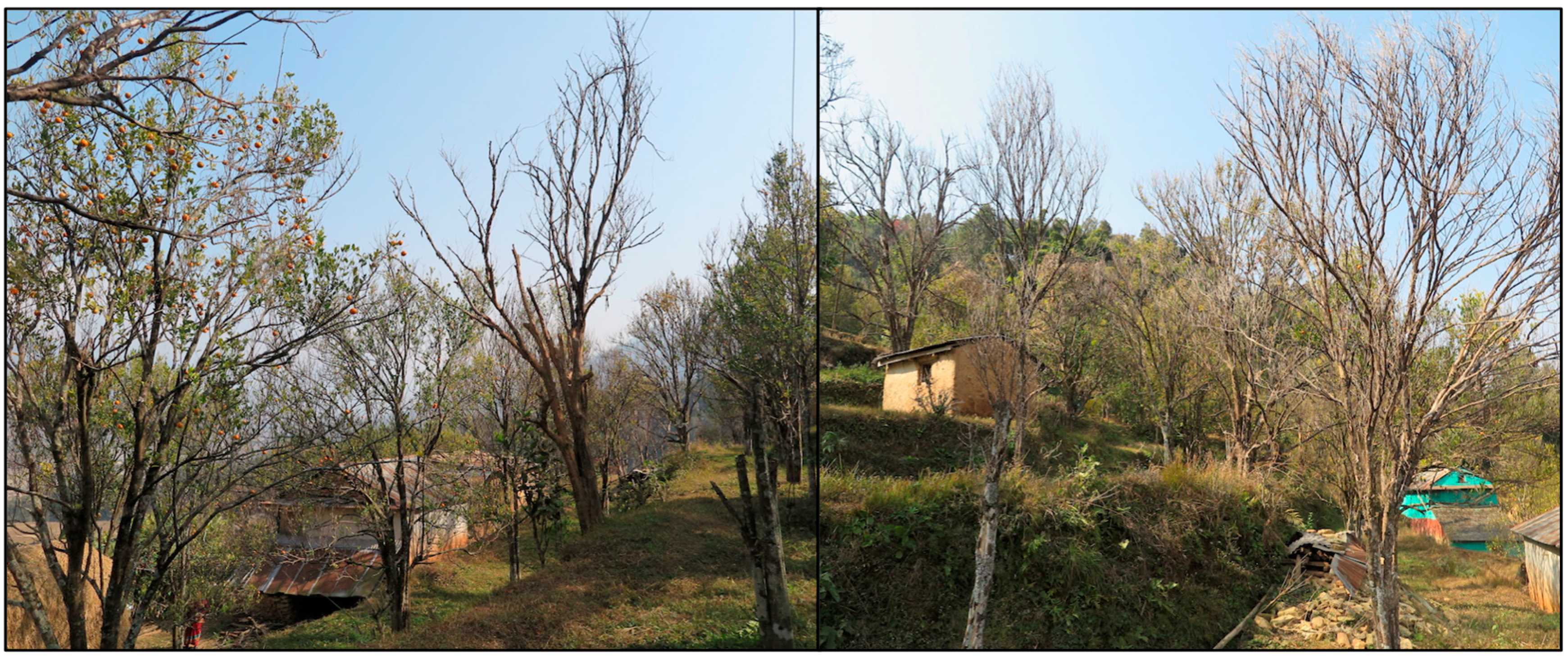 Sustainability 09 00641 g004 550