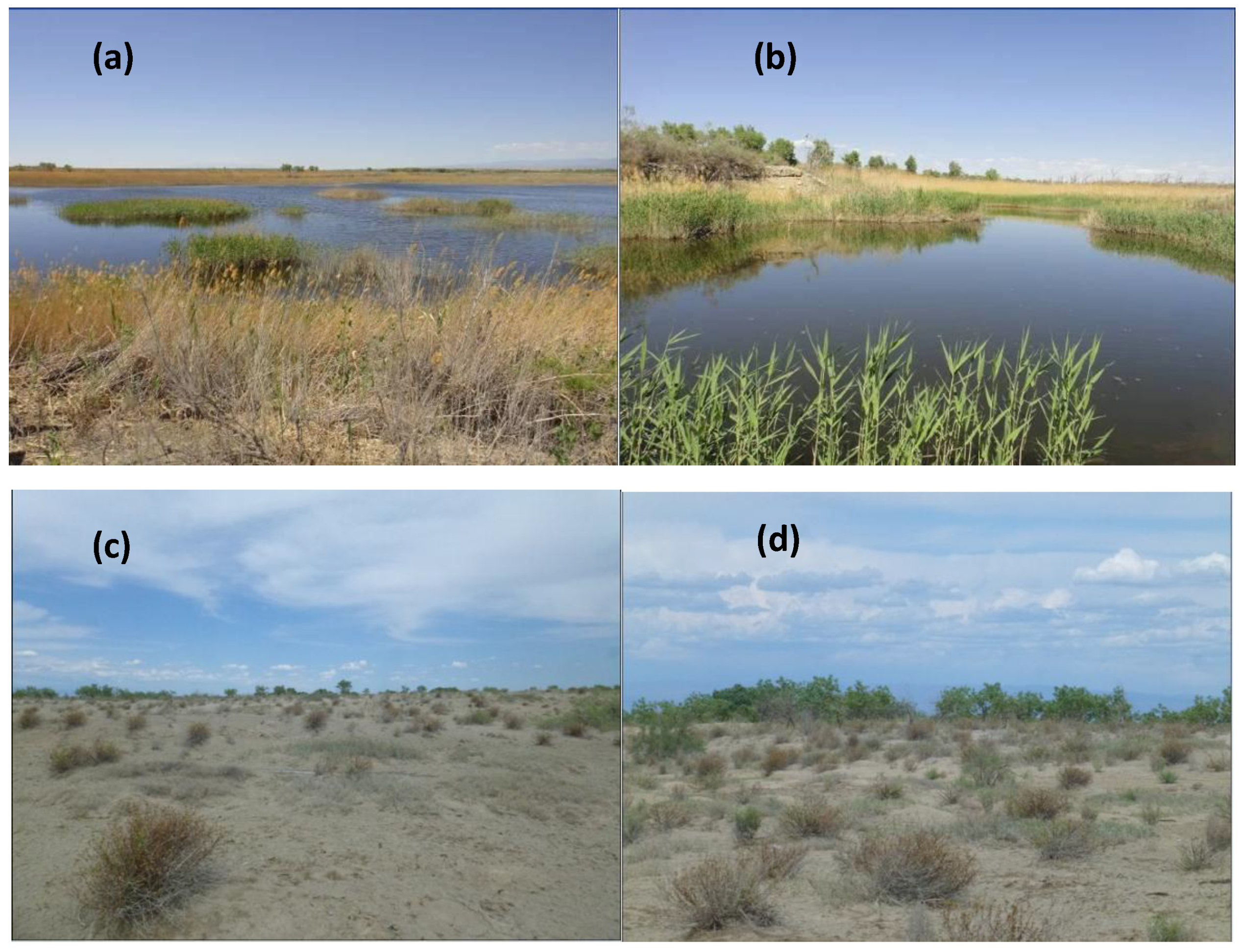 Sustainability 09 00724 g002 550