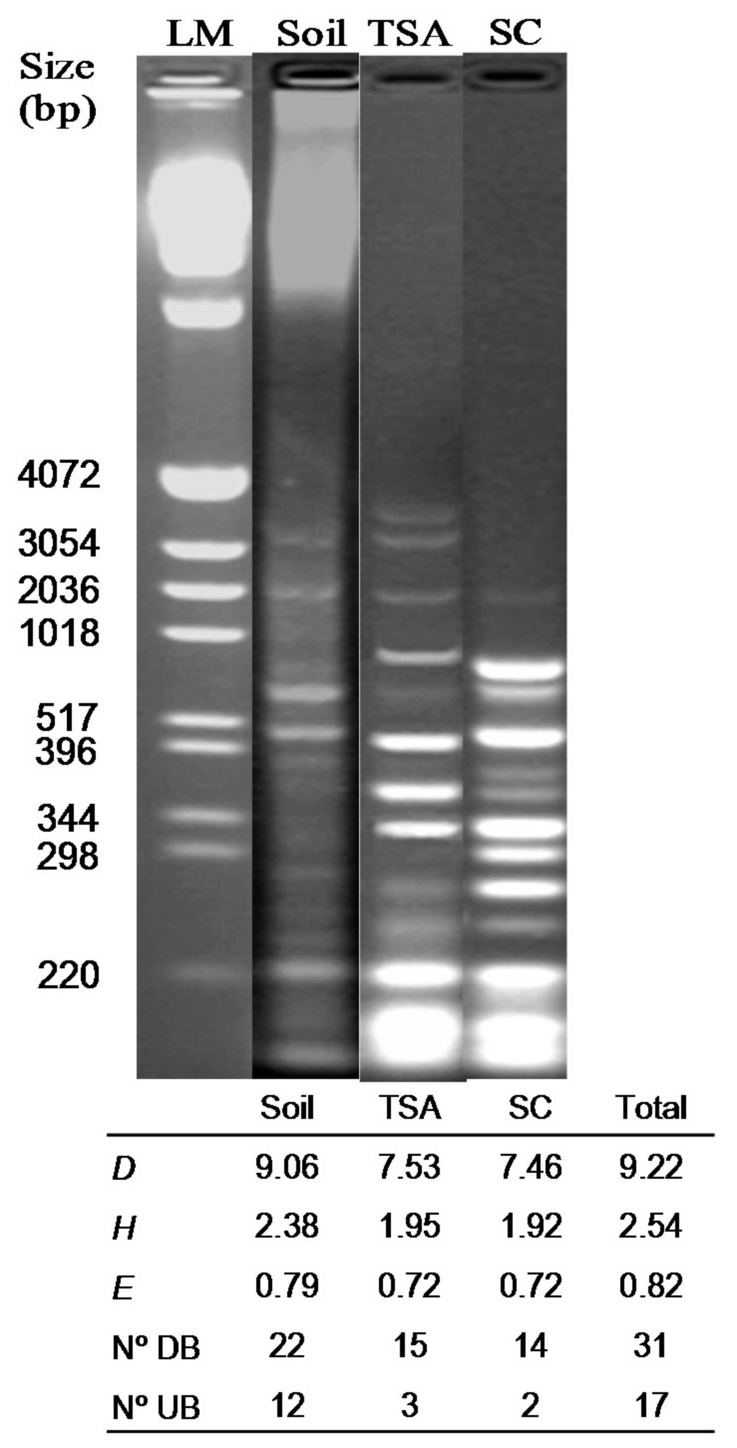 Sustainability 09 00778 g002 550